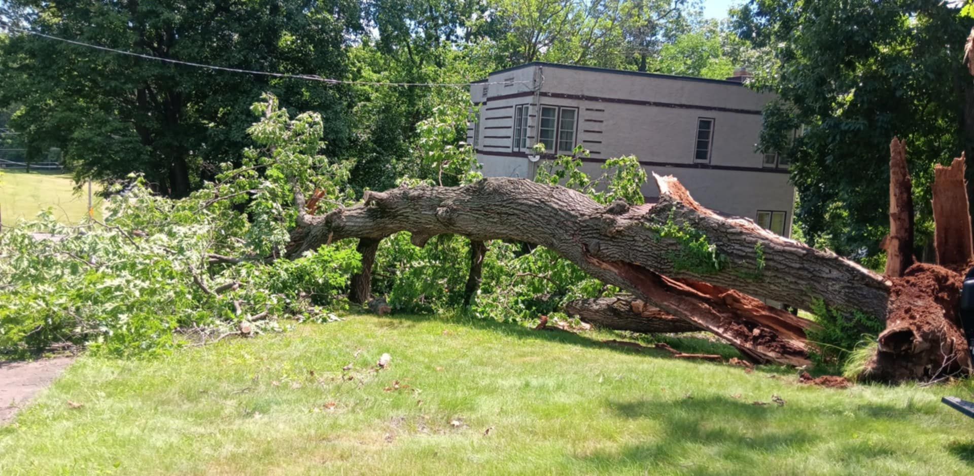 for Lawn Ranger Yard And Tree Service LLC in Ottumwa, IA