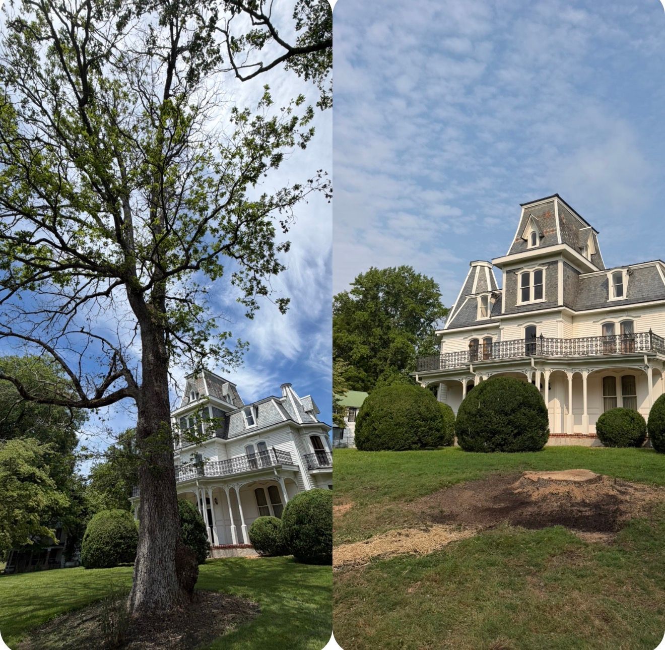  for McBee’s Tree Service in Sewanee, TN