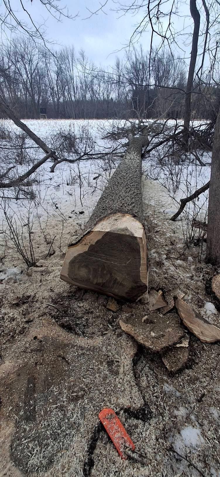  for God's Country Timber Management in Hillsdale, MI