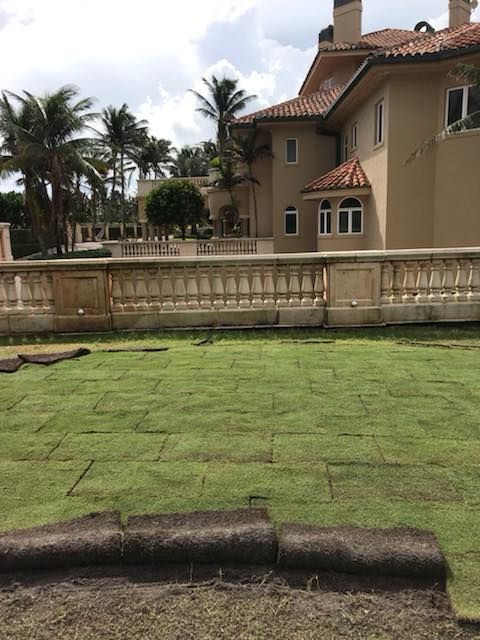Landscaping for WORKS SOD in West Palm Beach, FL