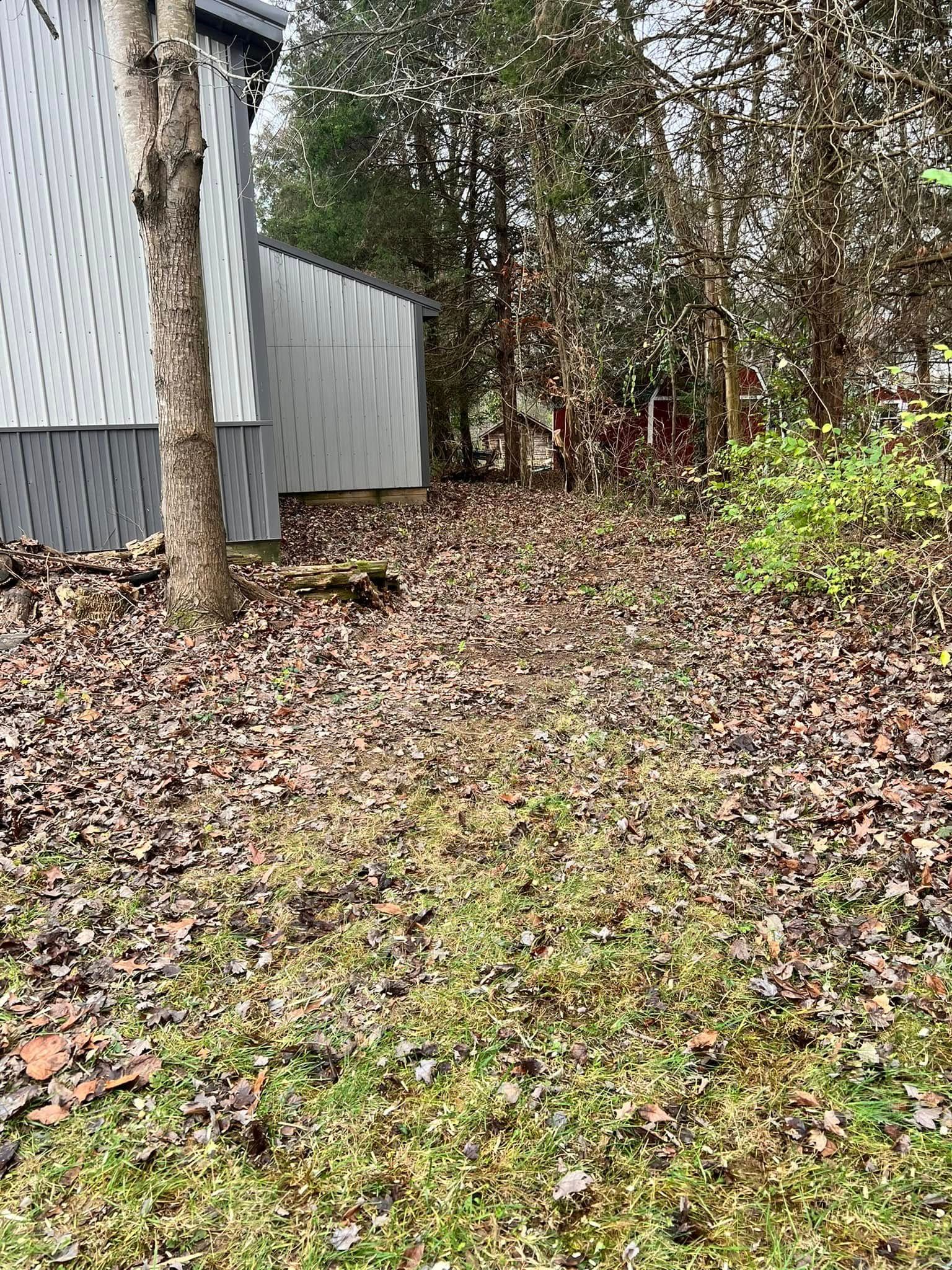 Tree Services for Kadin’s Tree Service in North Vernon, IN