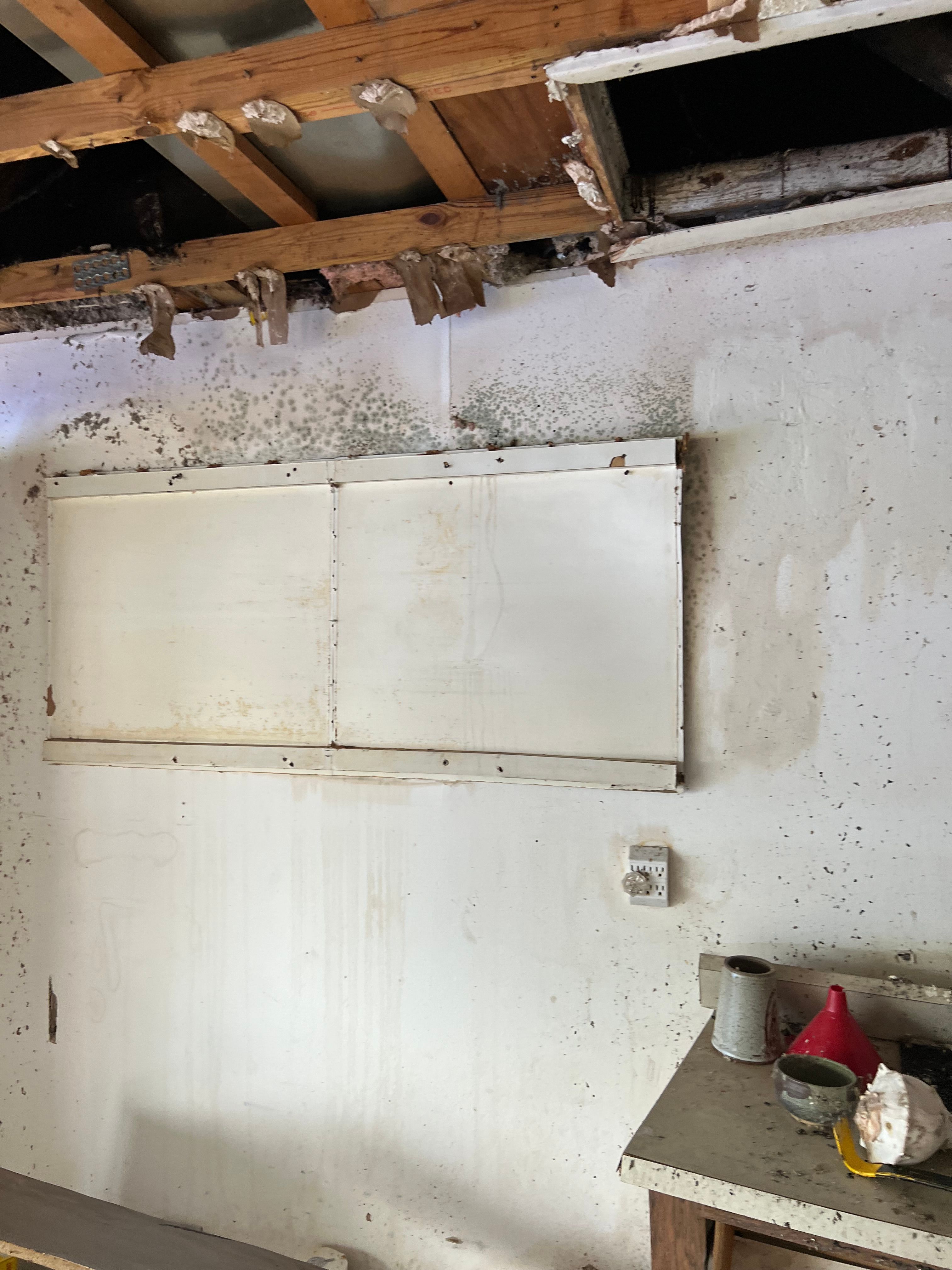  for N&D Restoration Services When Disaster Strikes, We Come In in Cape Coral,  FL