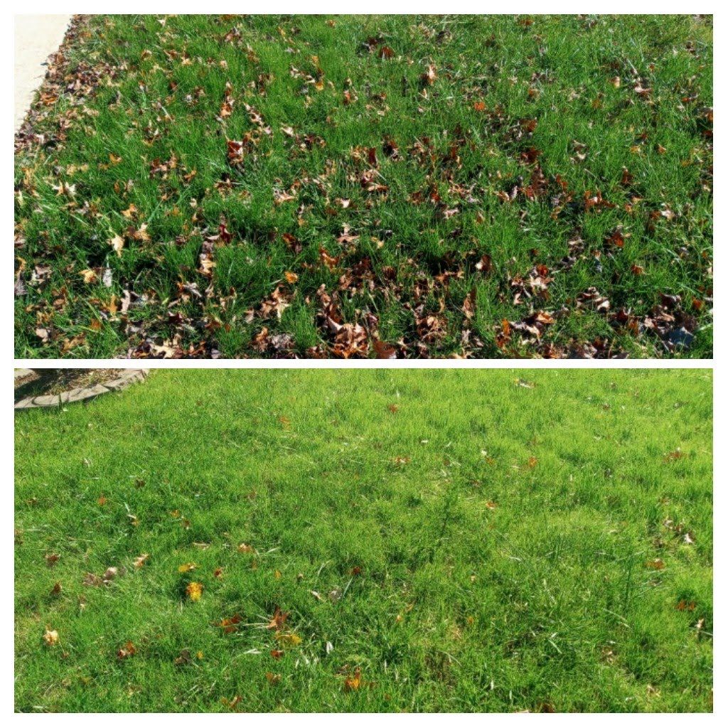  for Sam I AM Property Solutions in Sunderland, MD