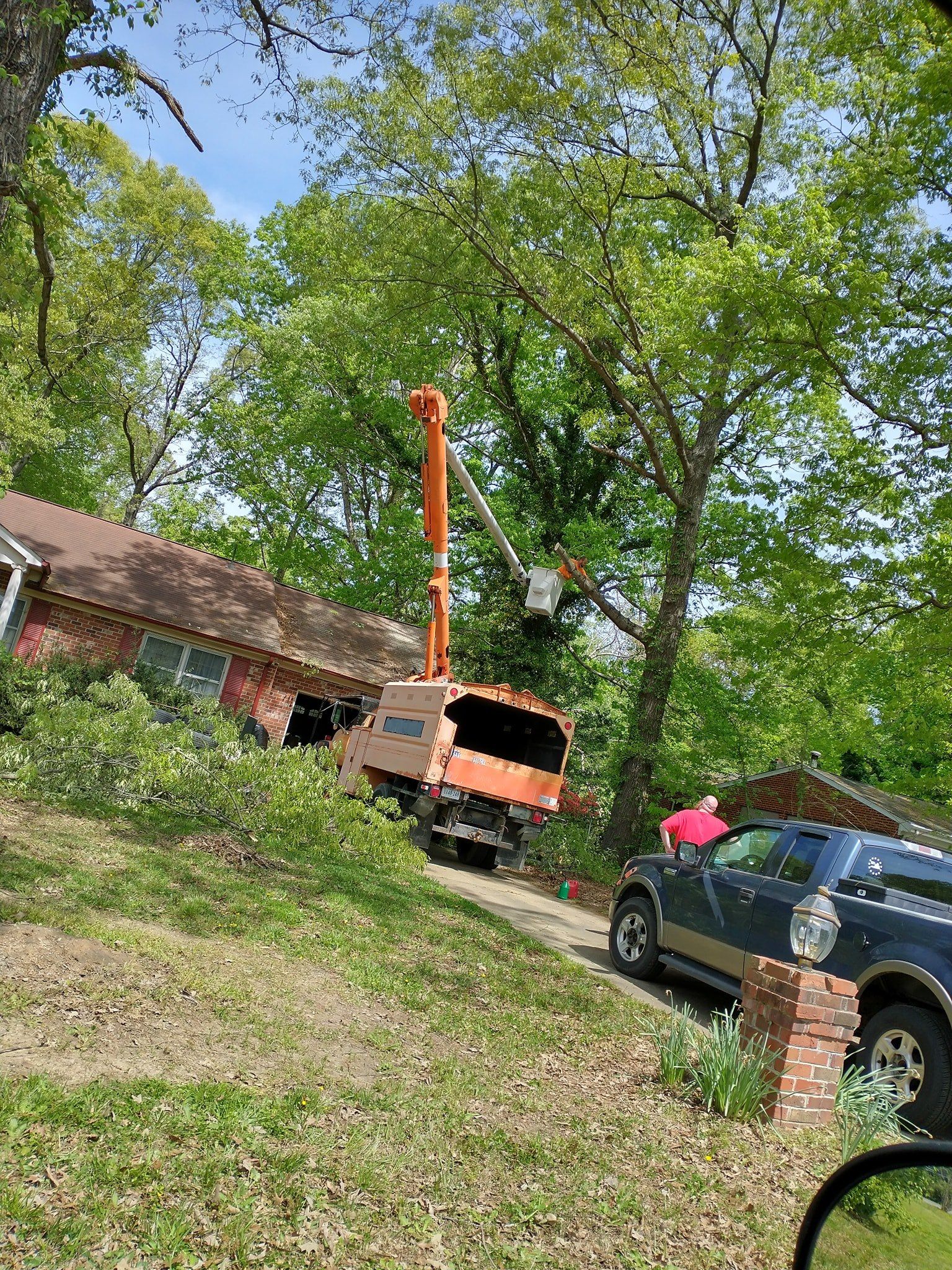  for Country Cutters Tree Service in Prince George, VA
