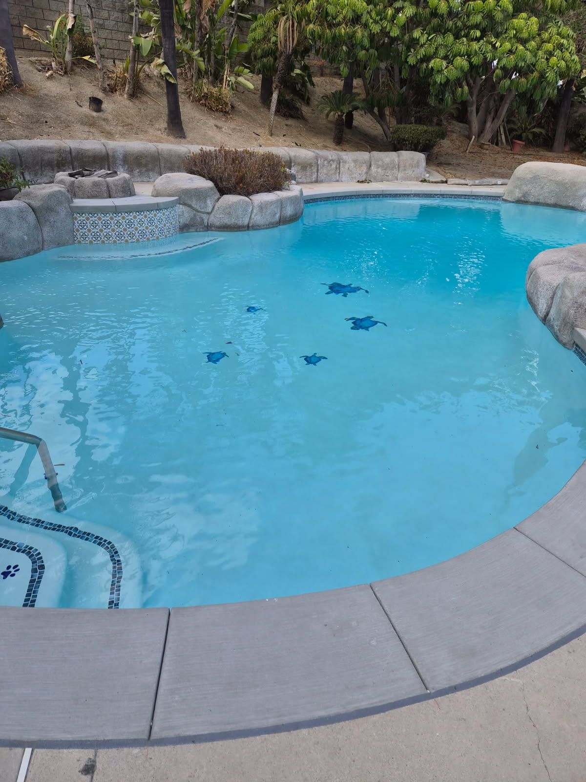  for Shell Sea's Pools & Spas Inc. in Orange County, CA