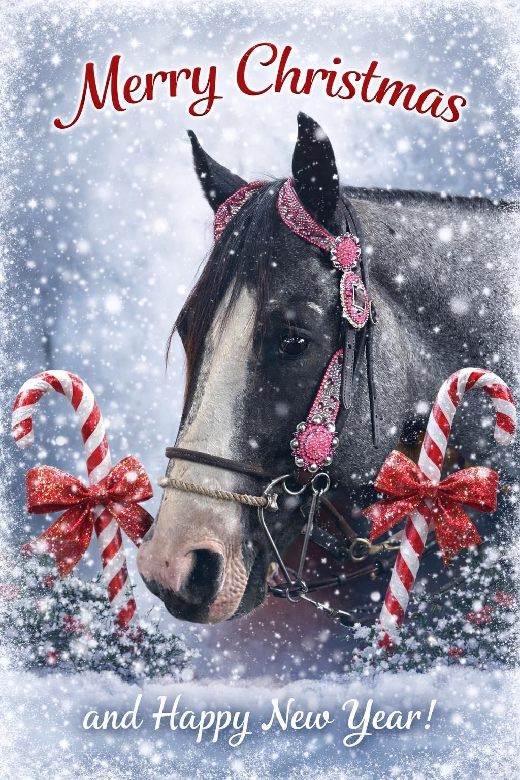  for Florida Native Equestrian Development in Central Florida, FL