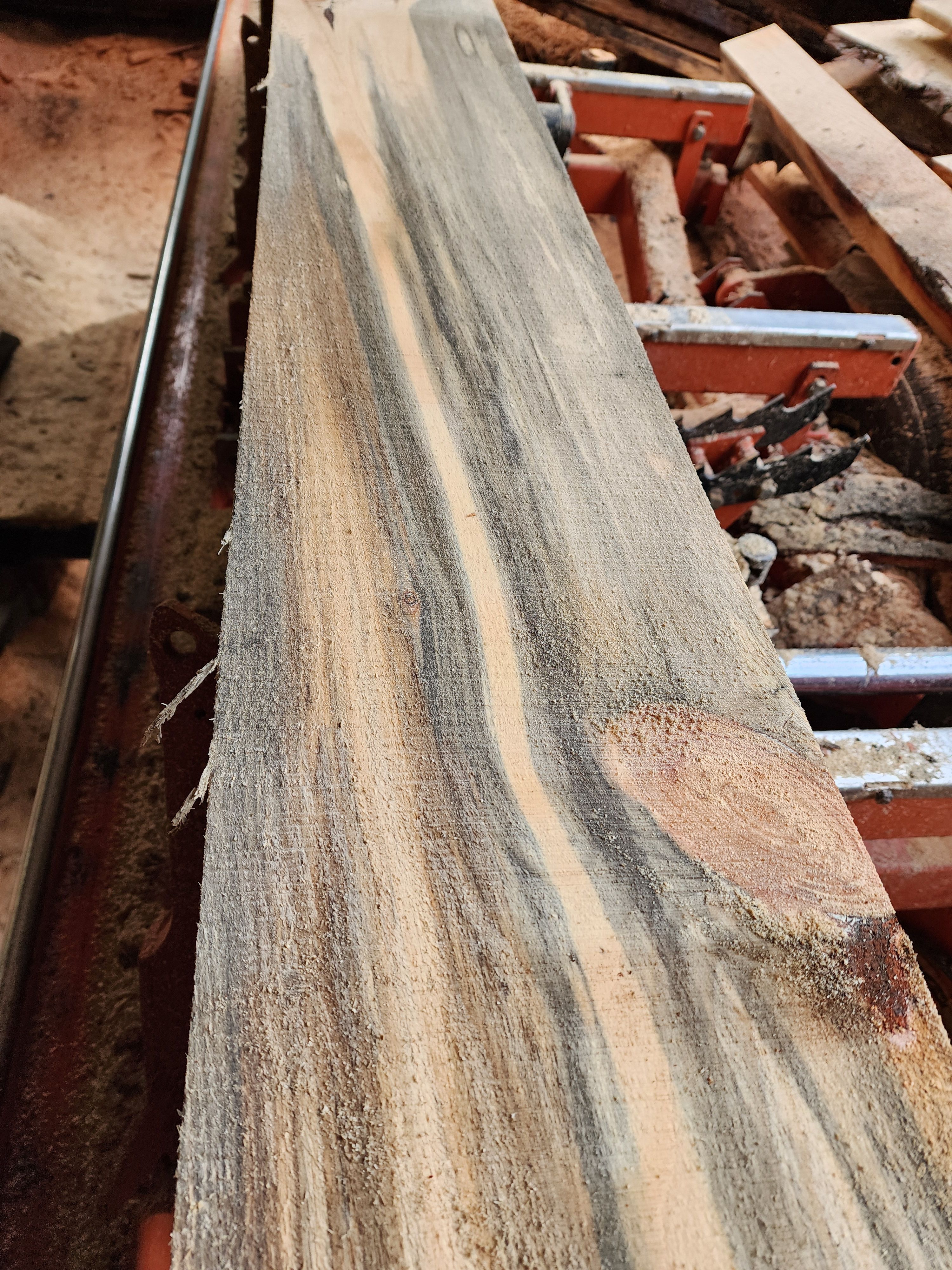  for The Baskins Sawmill in Port Angeles,  WA