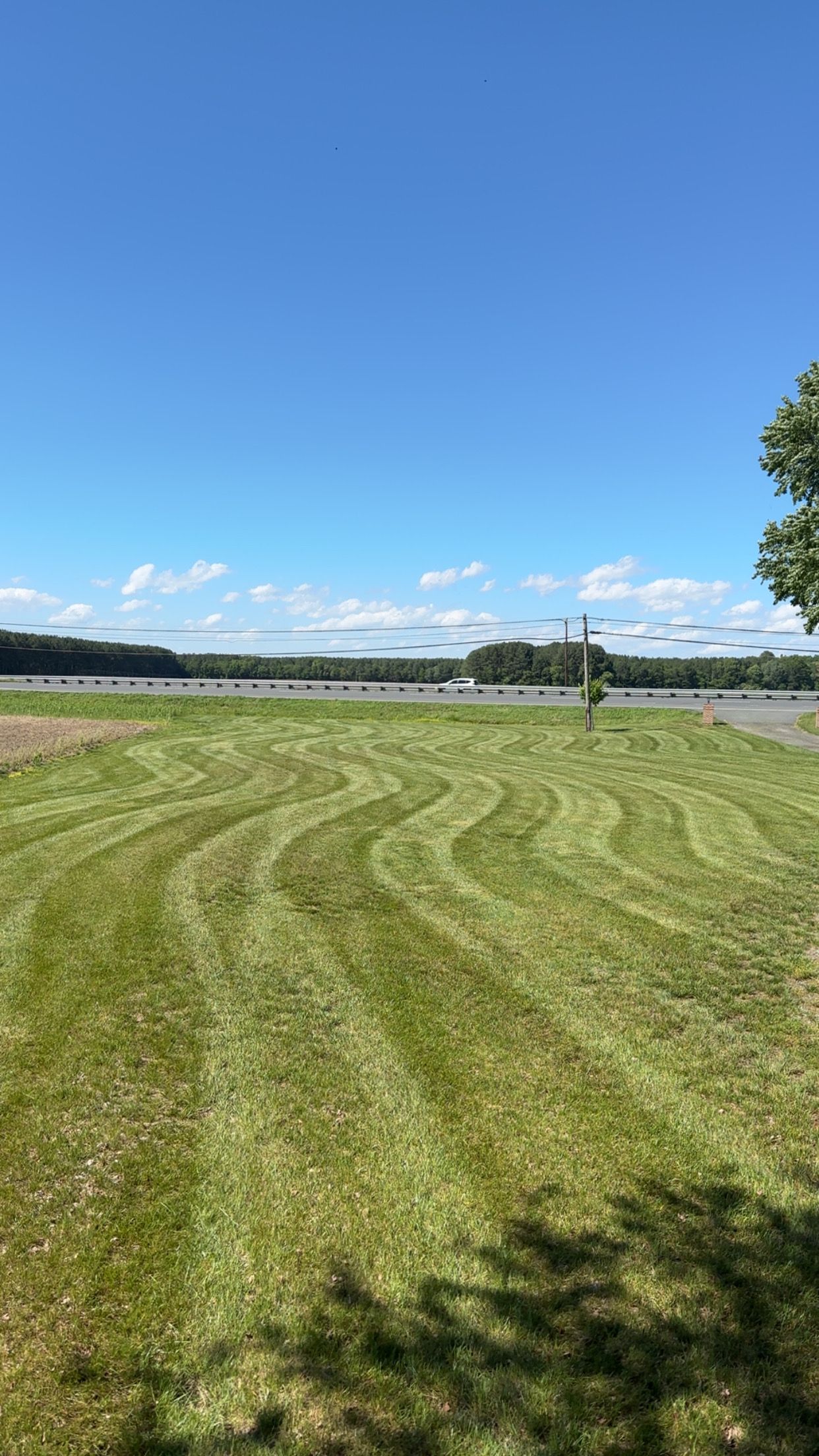  for Alex’s Grass Care in Salisbury, MD