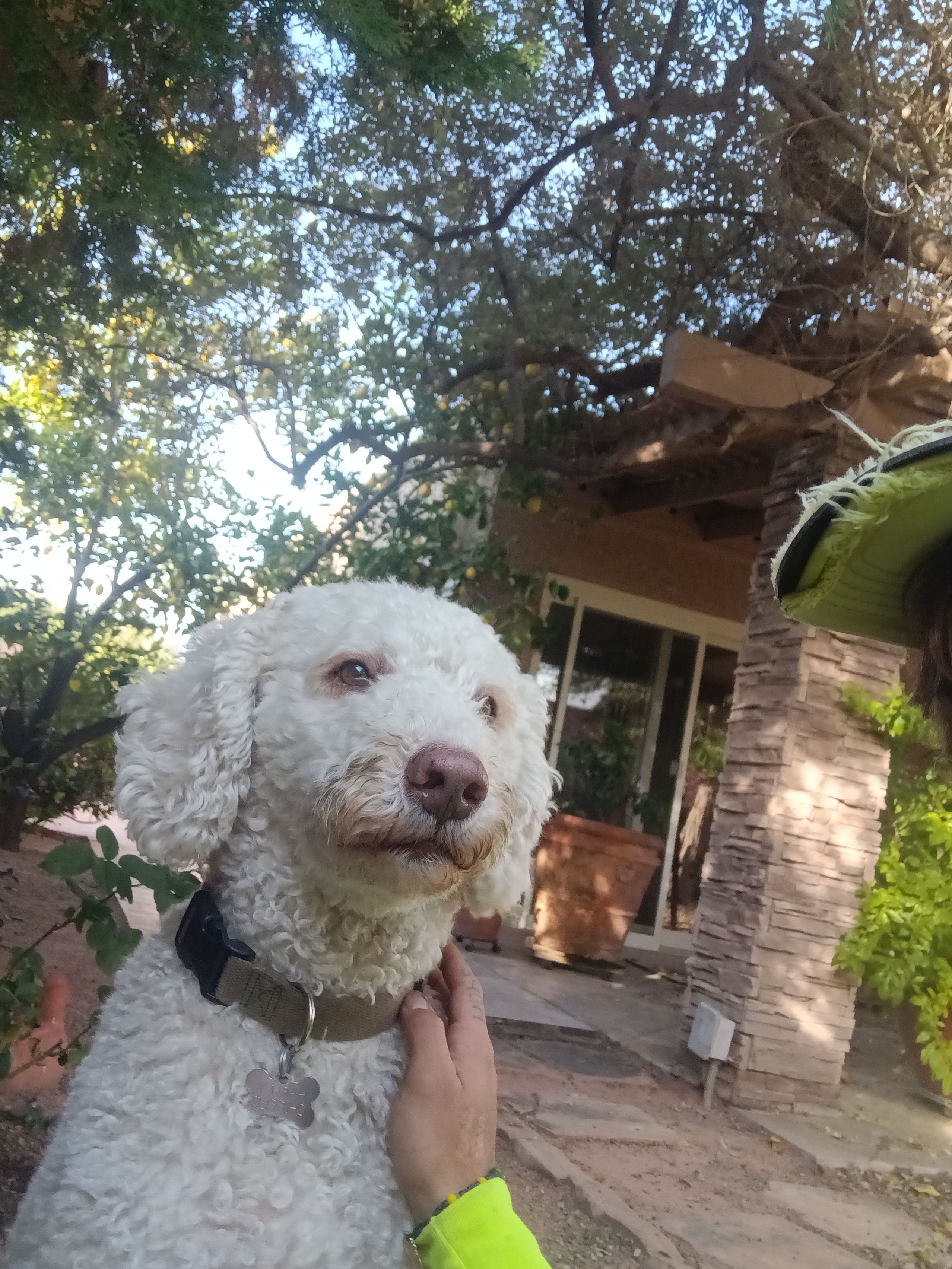  for Family Landscaping in Phoenix, AZ