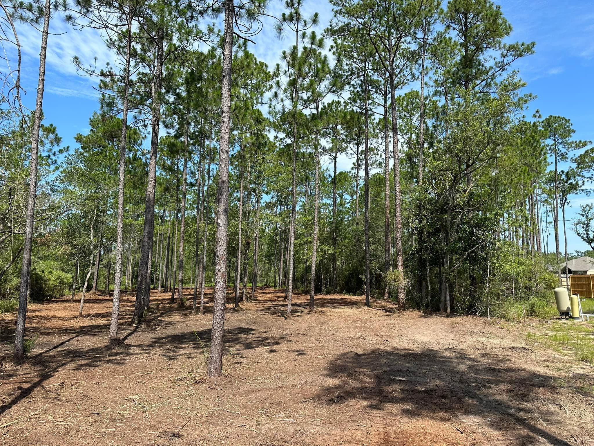 All Photos for White’s Land Maintenance in Milton,, FL