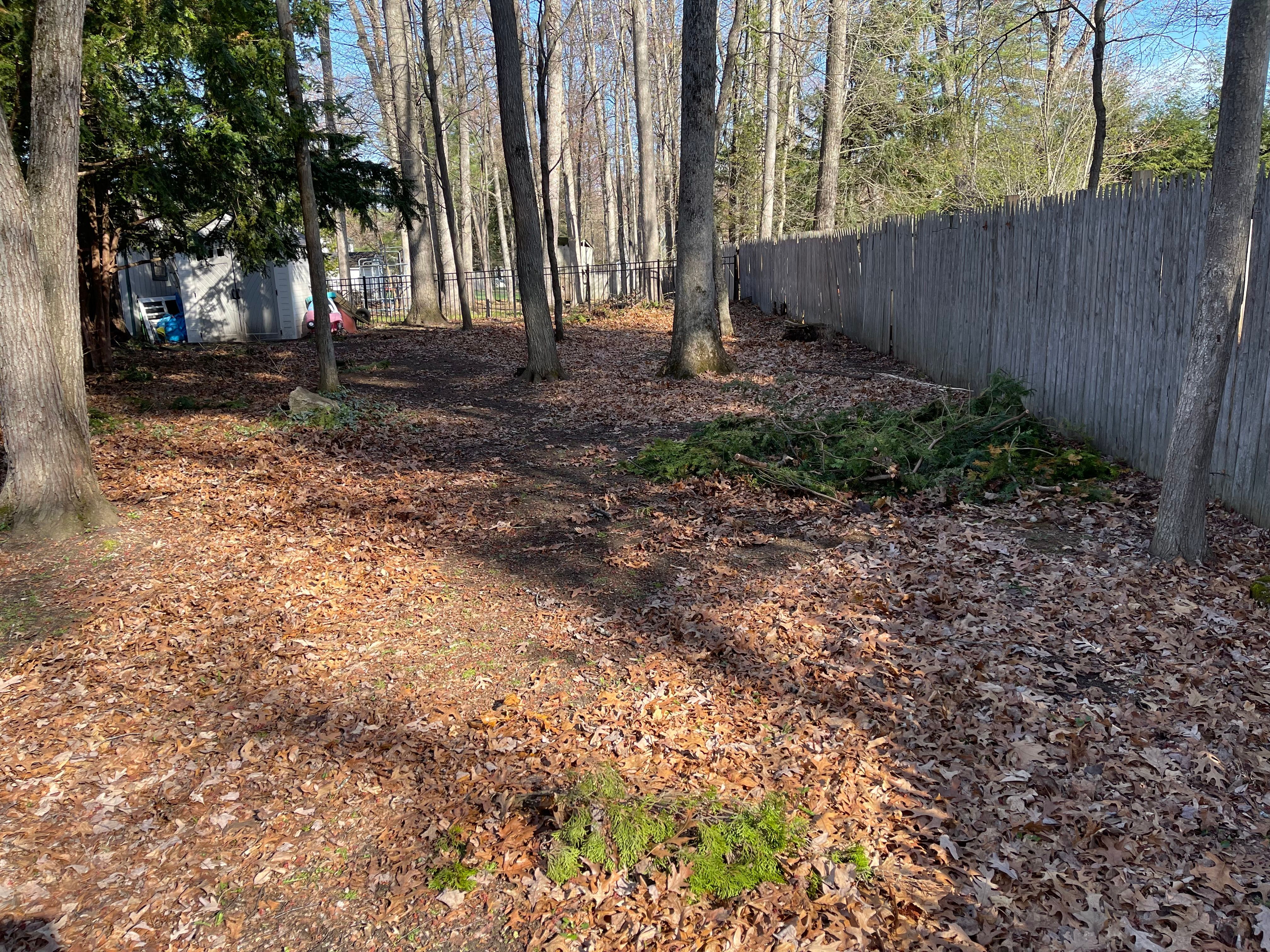 All Photos for Elite Terrain in Wilton, NY