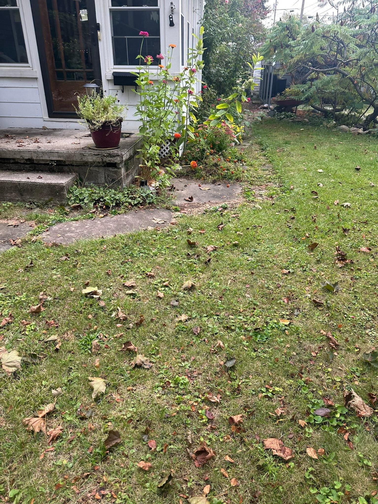  for OT Lawn and Landscaping LLC in Carey, OH