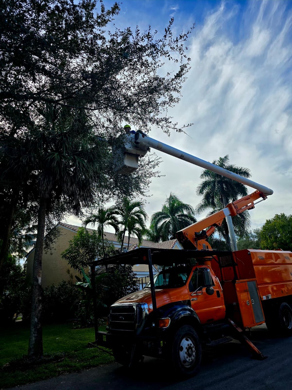  for Bridgewater Arbor Care LLC in Jupiter, FL