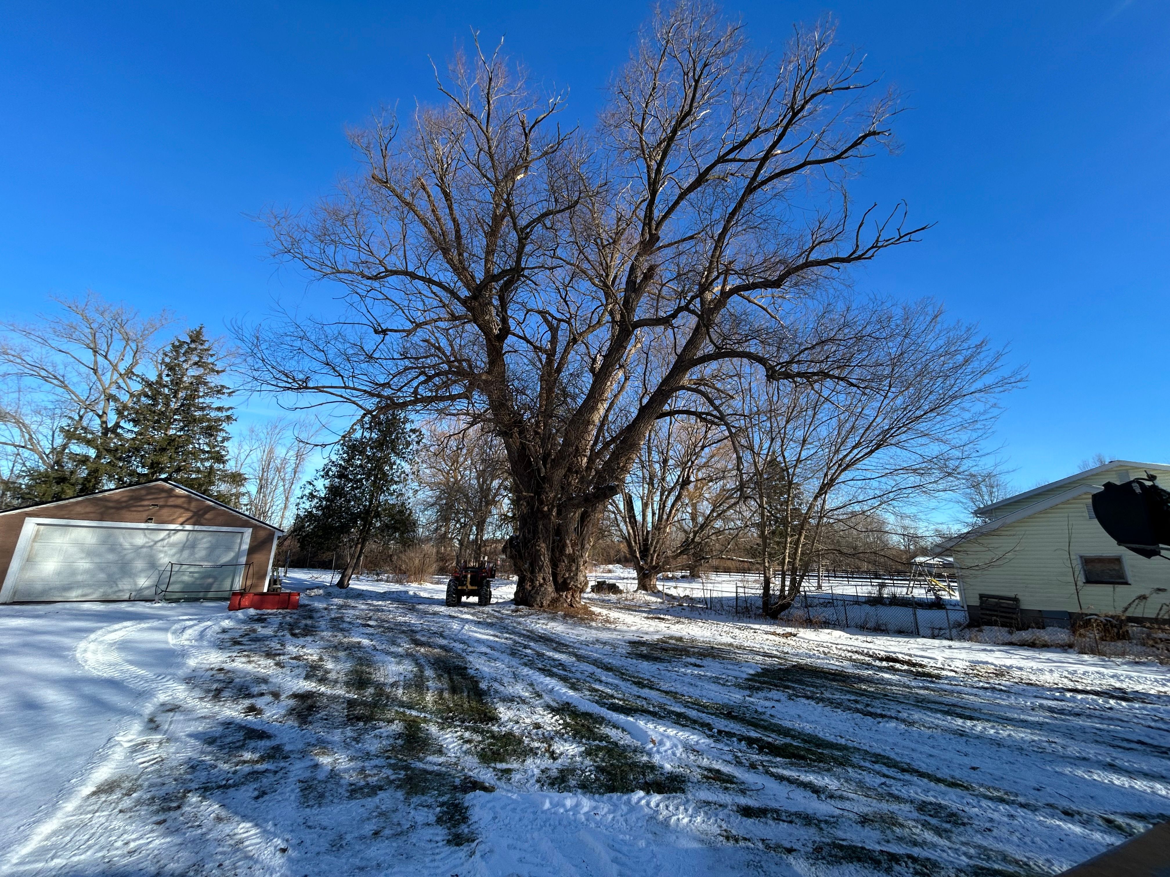  for S.H. Tree Service LLC in Hilton, NY