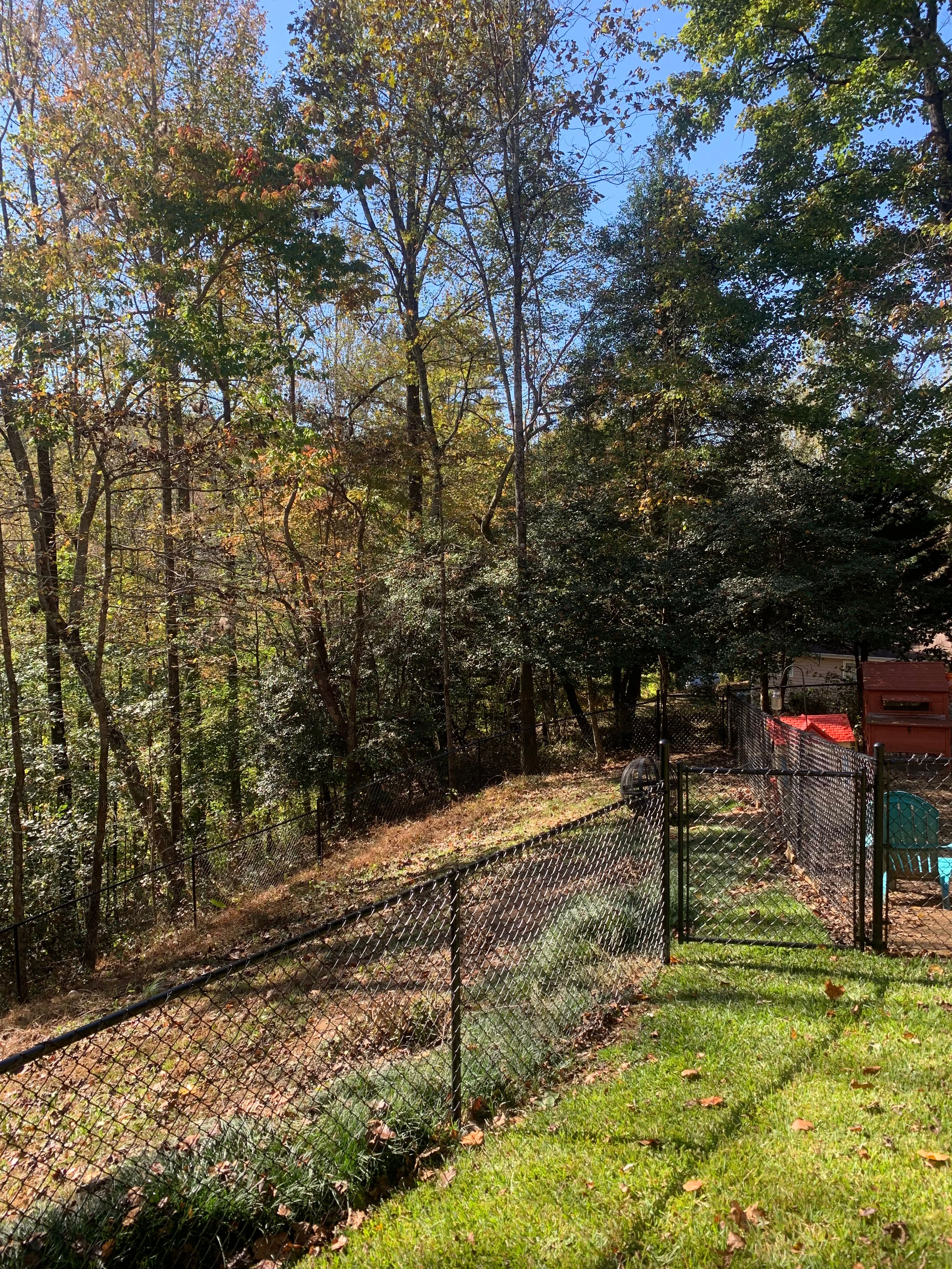  for Alpine Fence in Dahlonega, GA