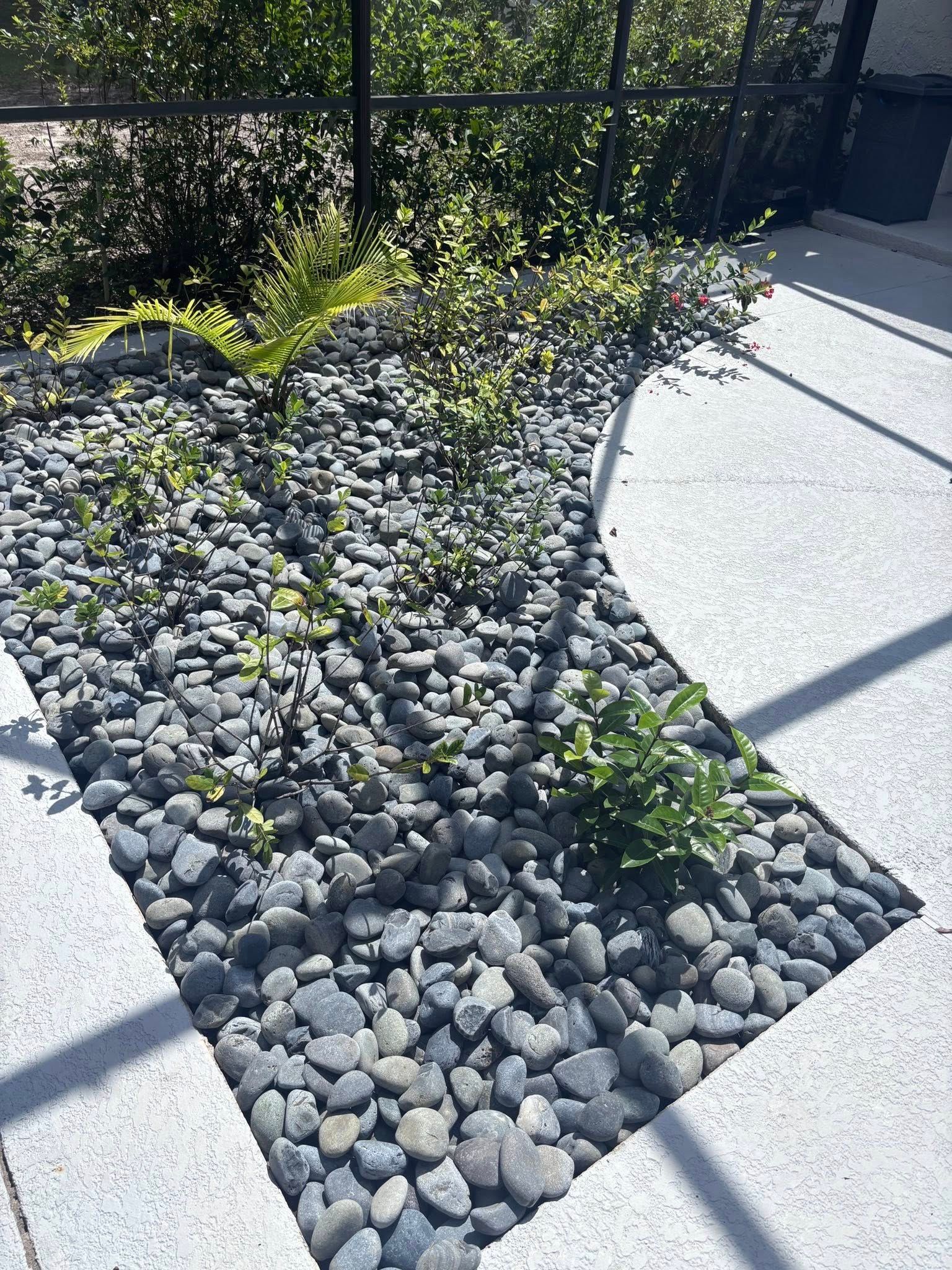  for Affordable Property Servicez LLC in Orlando, FL