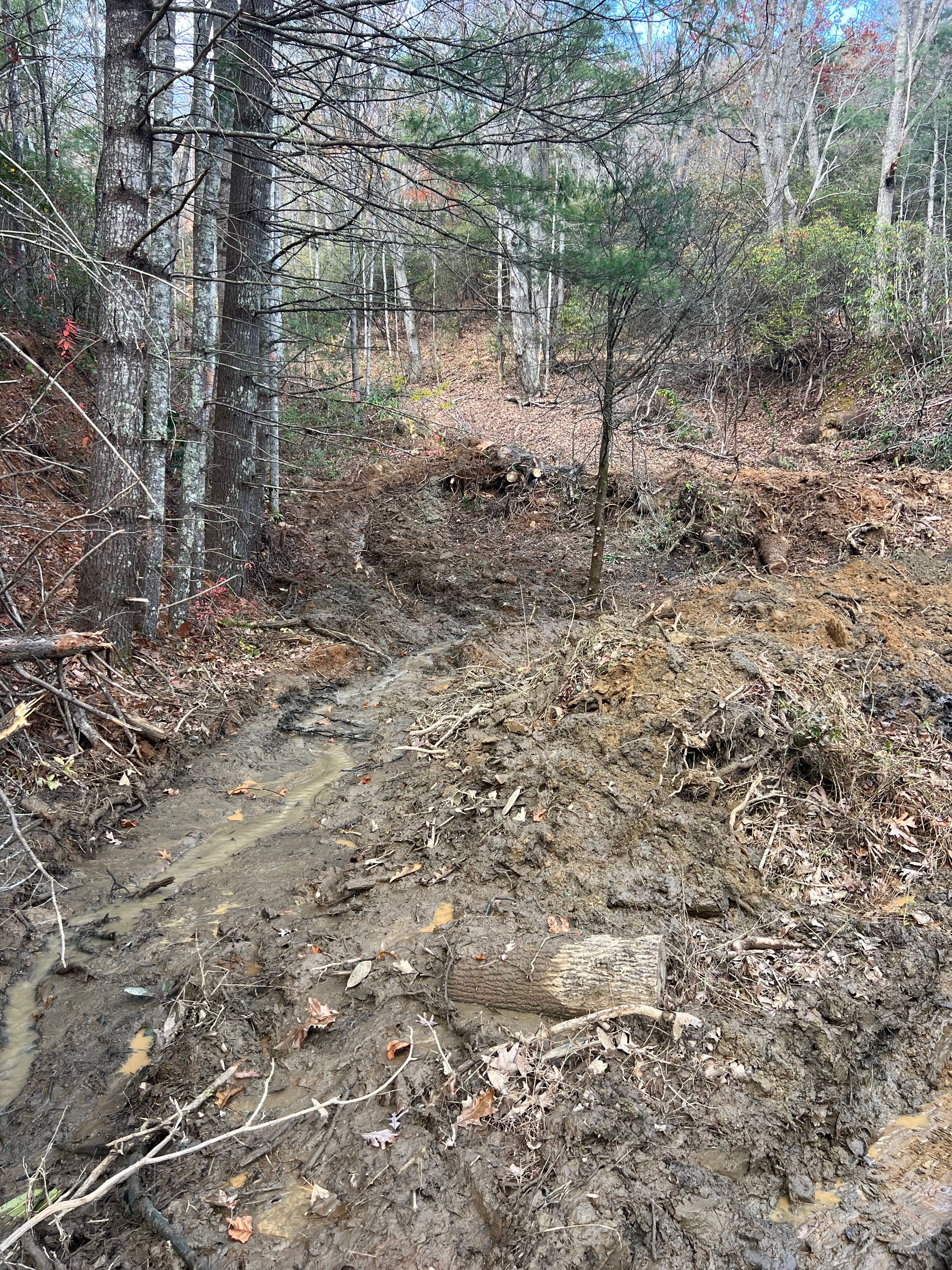  for Ground To Sky Tree Care in Asheville, North Carolina