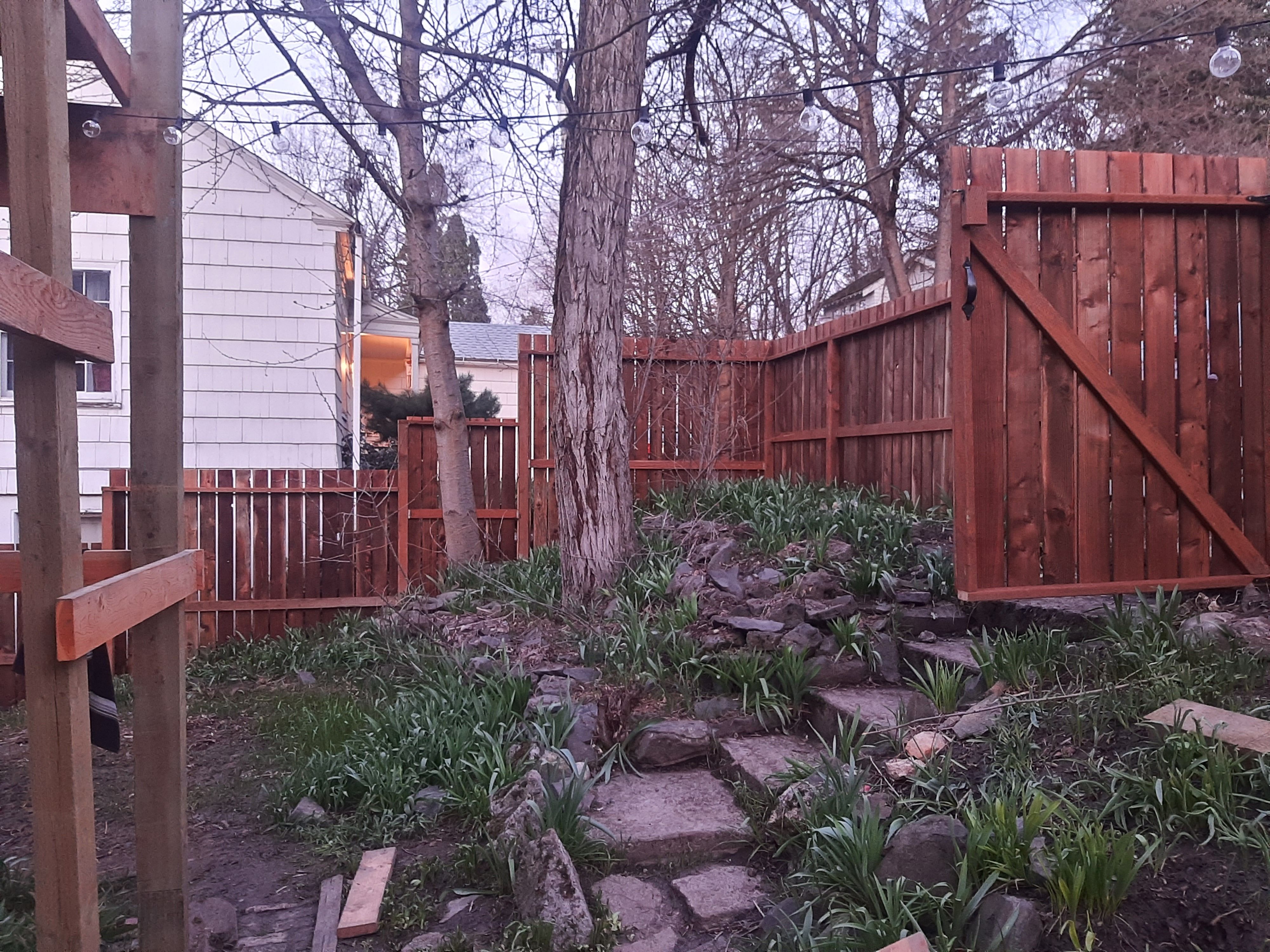  for Wild Mutt Handyman Services in Pullman, WA