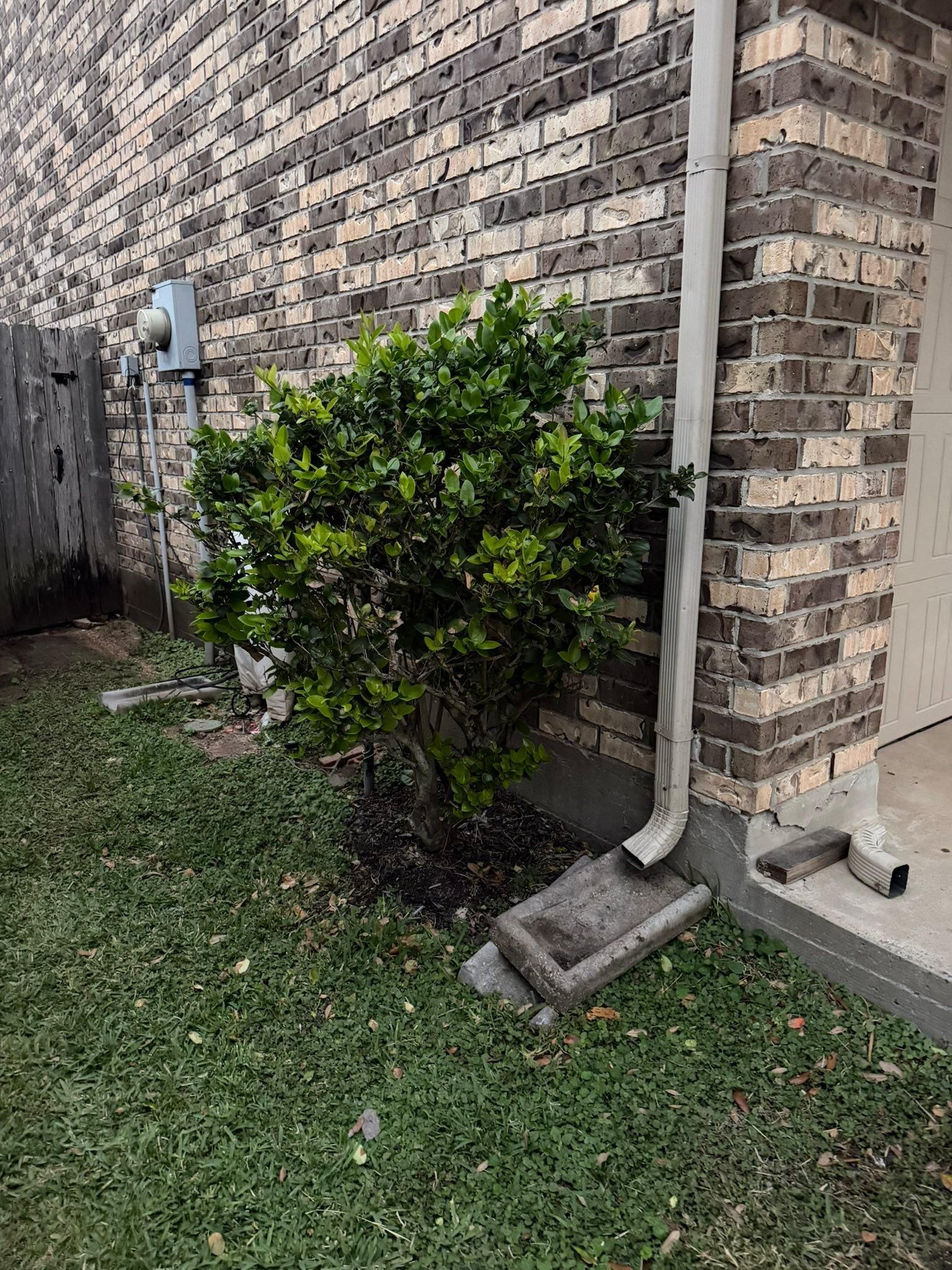  for Texas Curb N Borders in Houston, TX