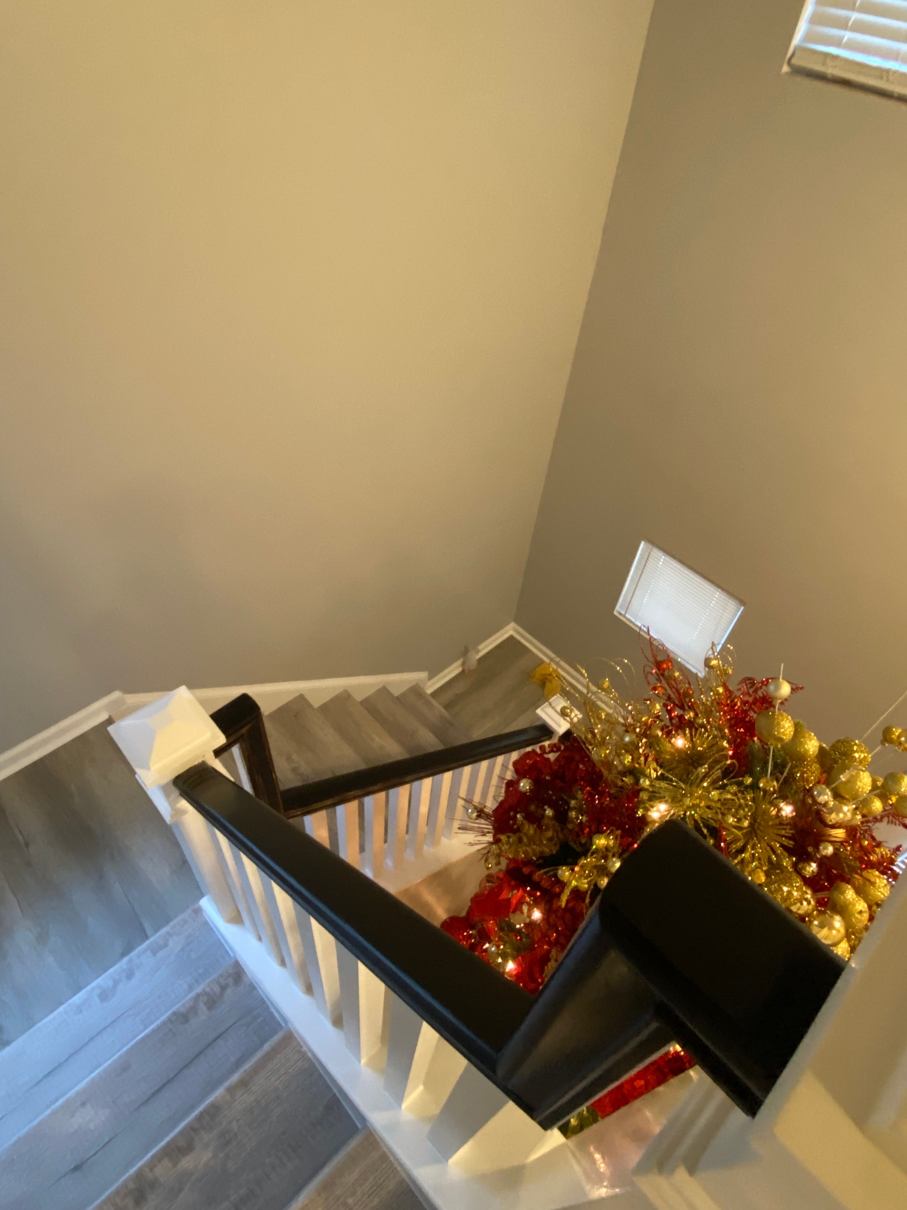  for Luck Painting in Summerville, SC