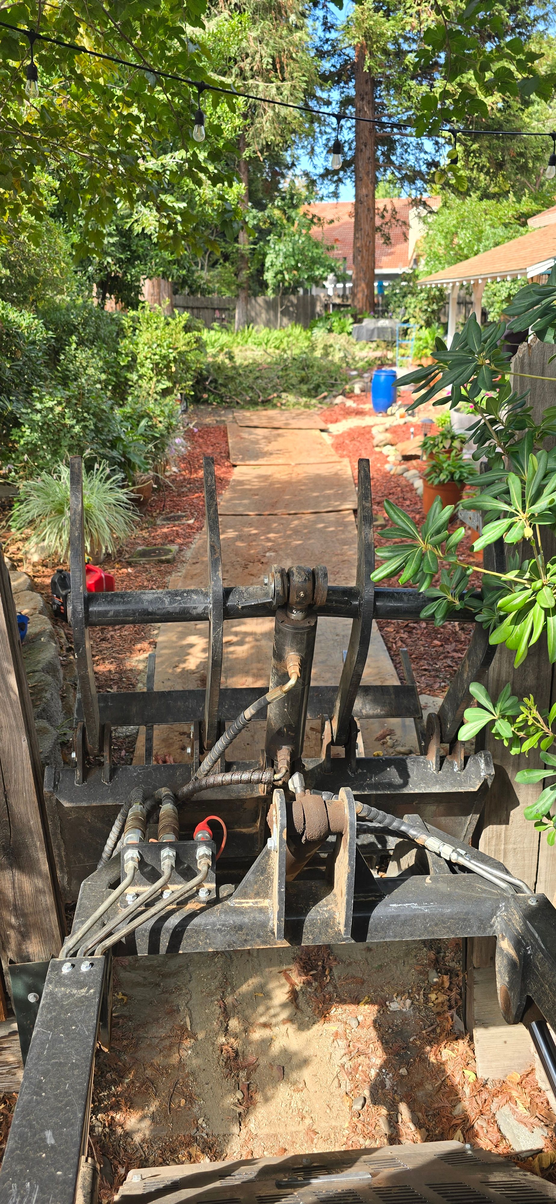  for George Staddan's Professional Tree Care in Placerville, CA