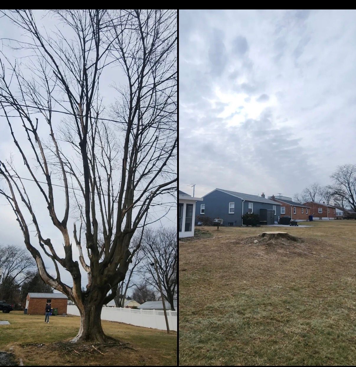  for Wiley Landscape Design in York, PA