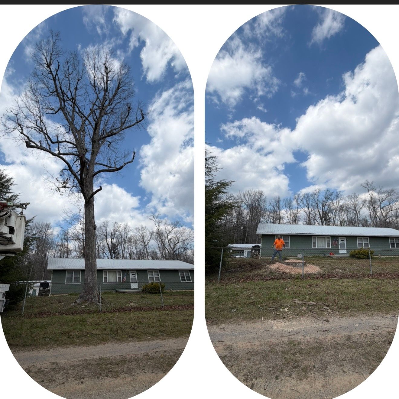  for McBee’s Tree Service in Sewanee, TN