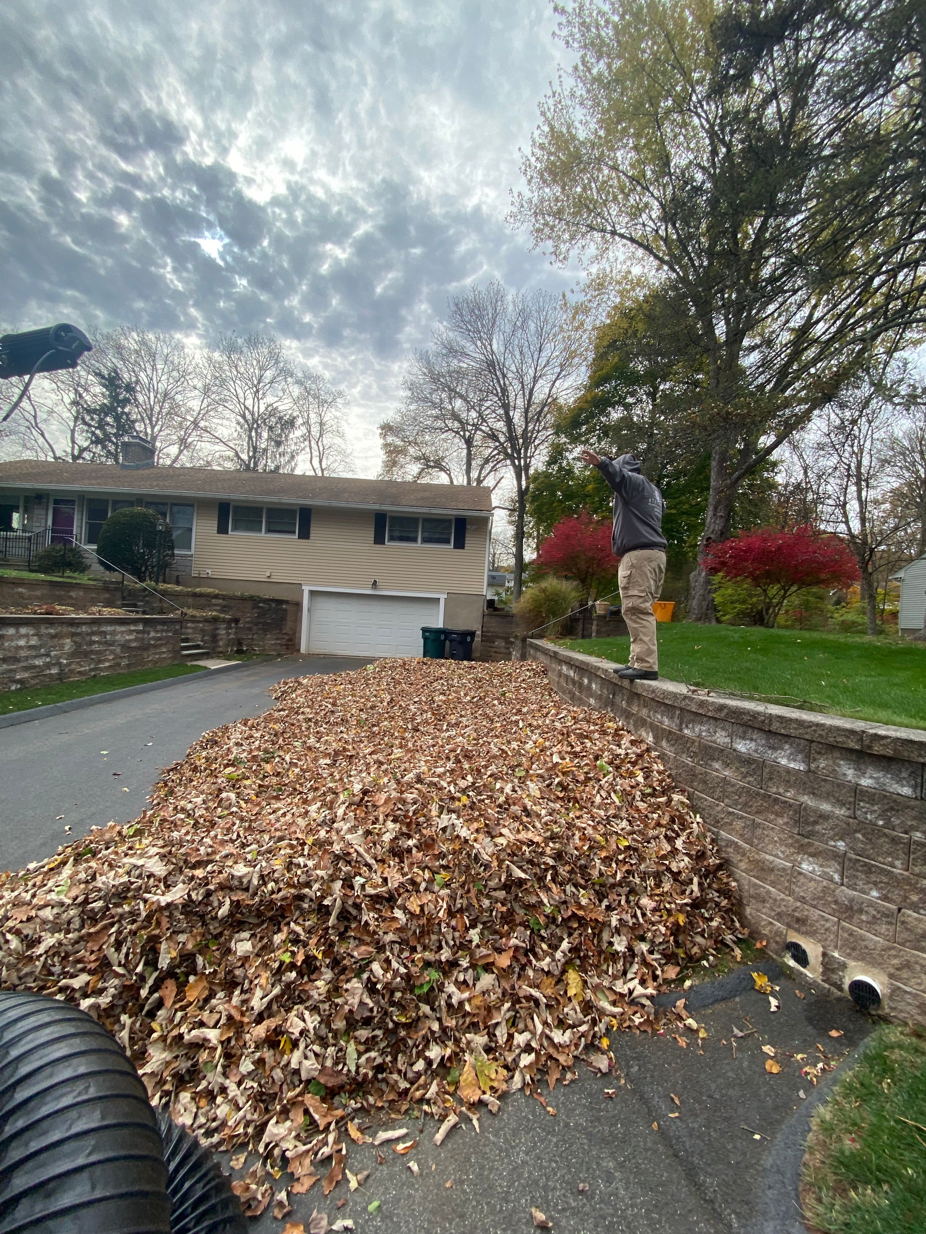  for Stevenson Property Maintenance in Cheshire, CT