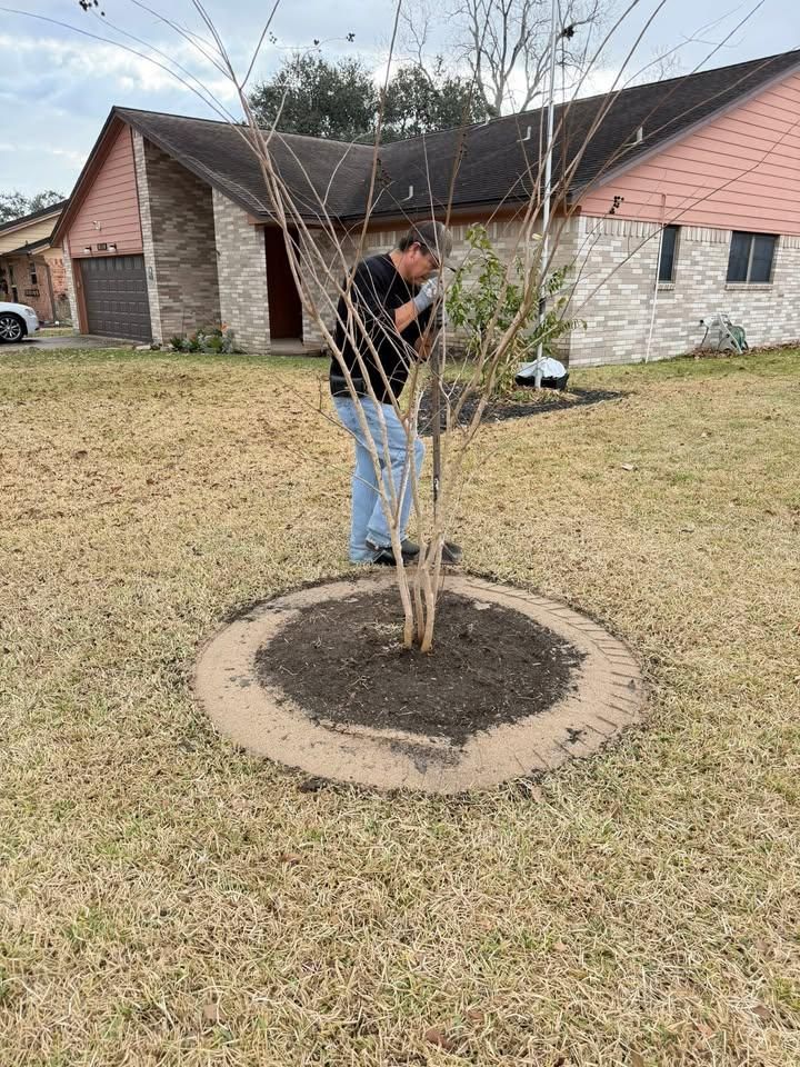  for Texas Curb N Borders in Houston, TX