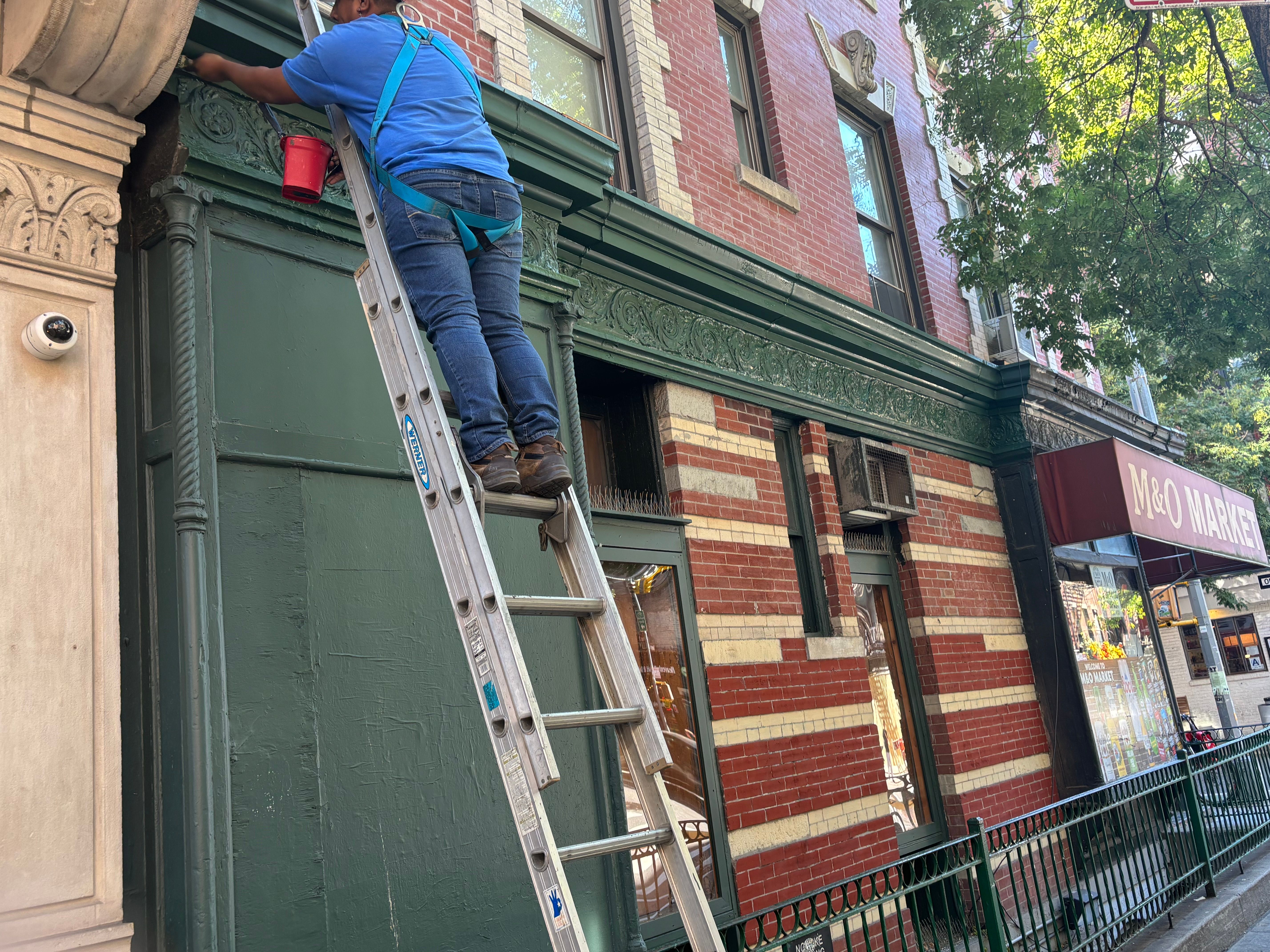  for Arpi & Alvarado Painting and Repair in Brooklyn, NY