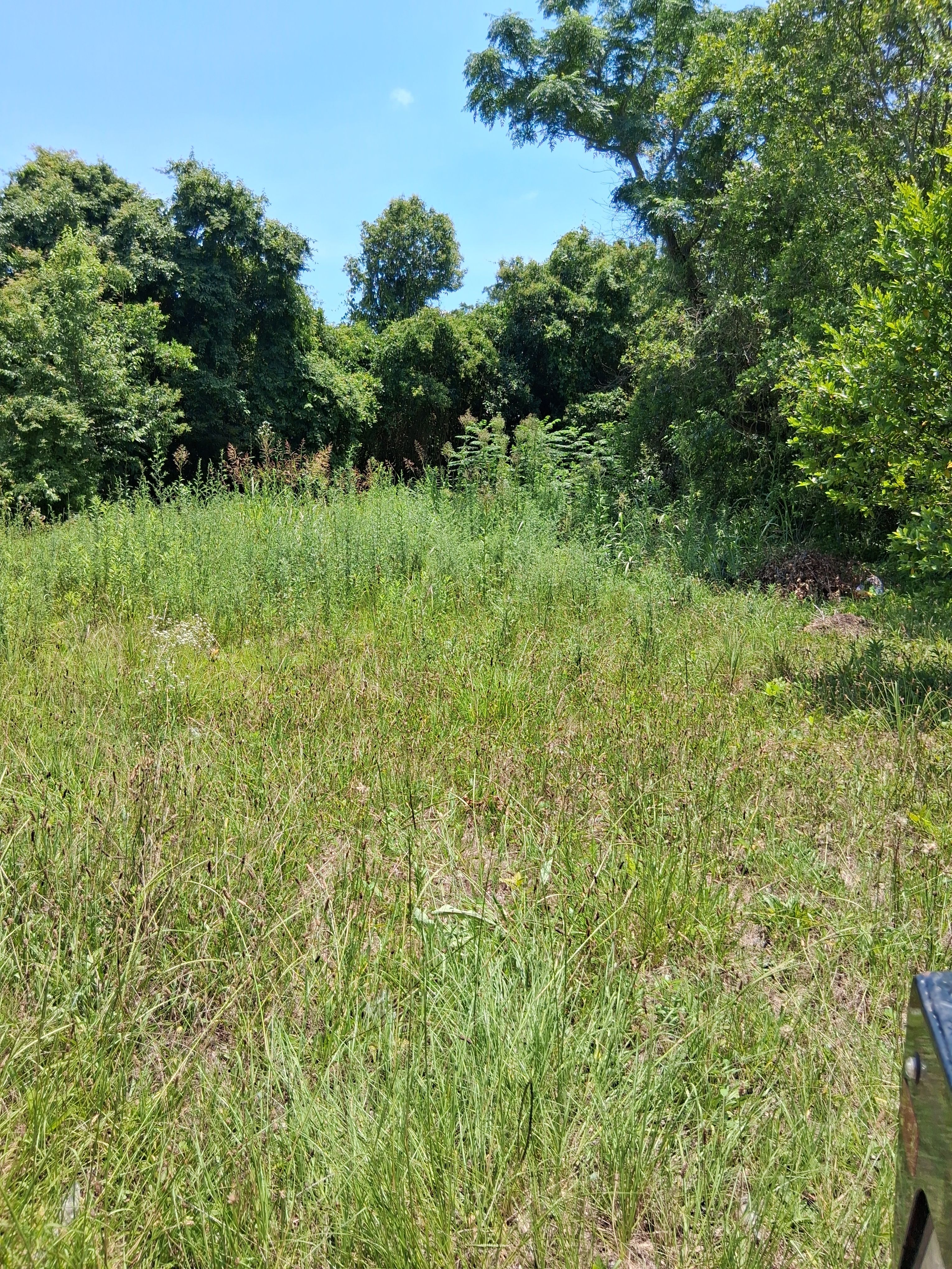  for Evan's Property Investments and More in Hephzibah, GA