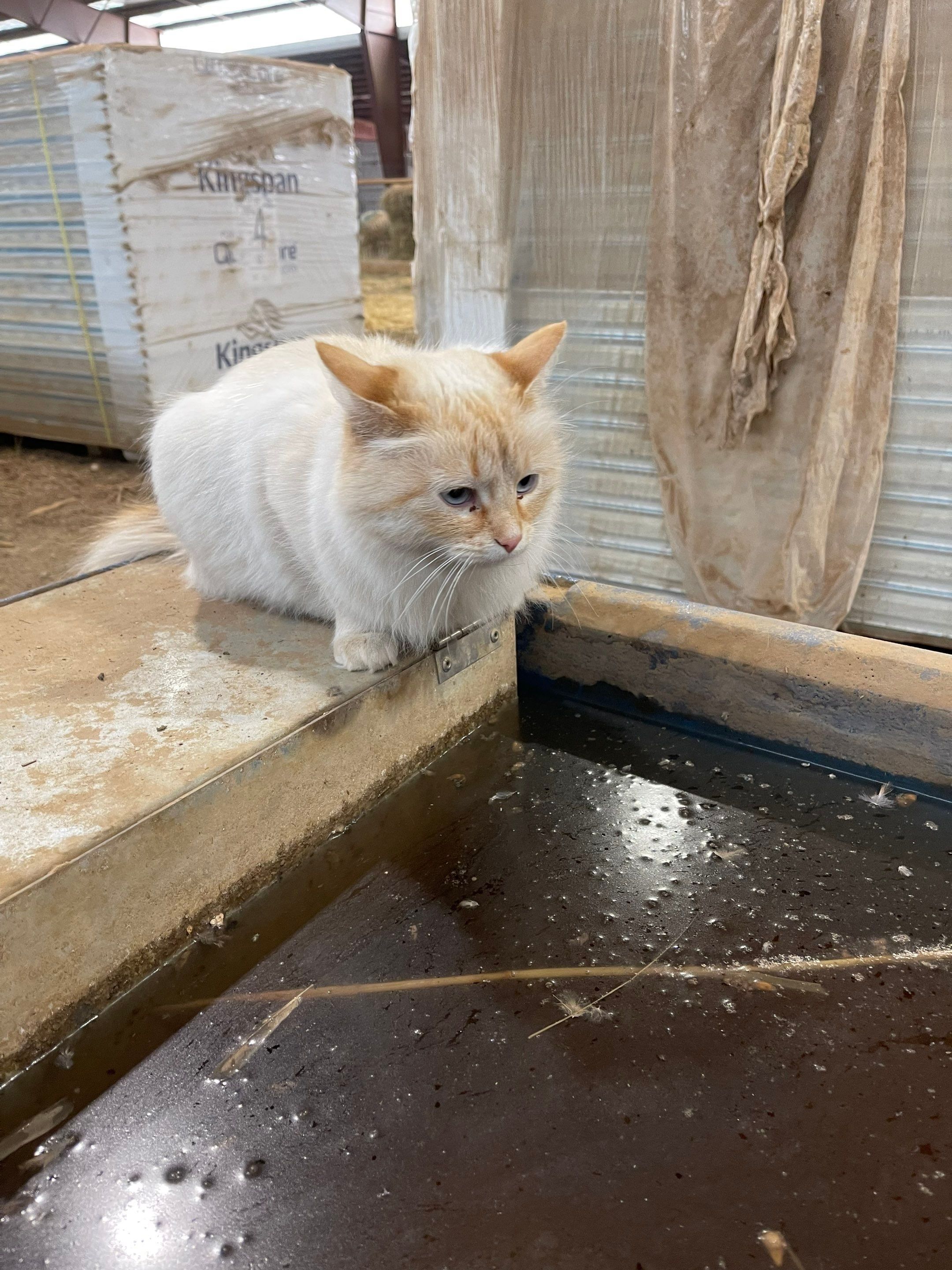 All Photos for Mr. Pipe Dreams LLC in Colorado Springs, CO