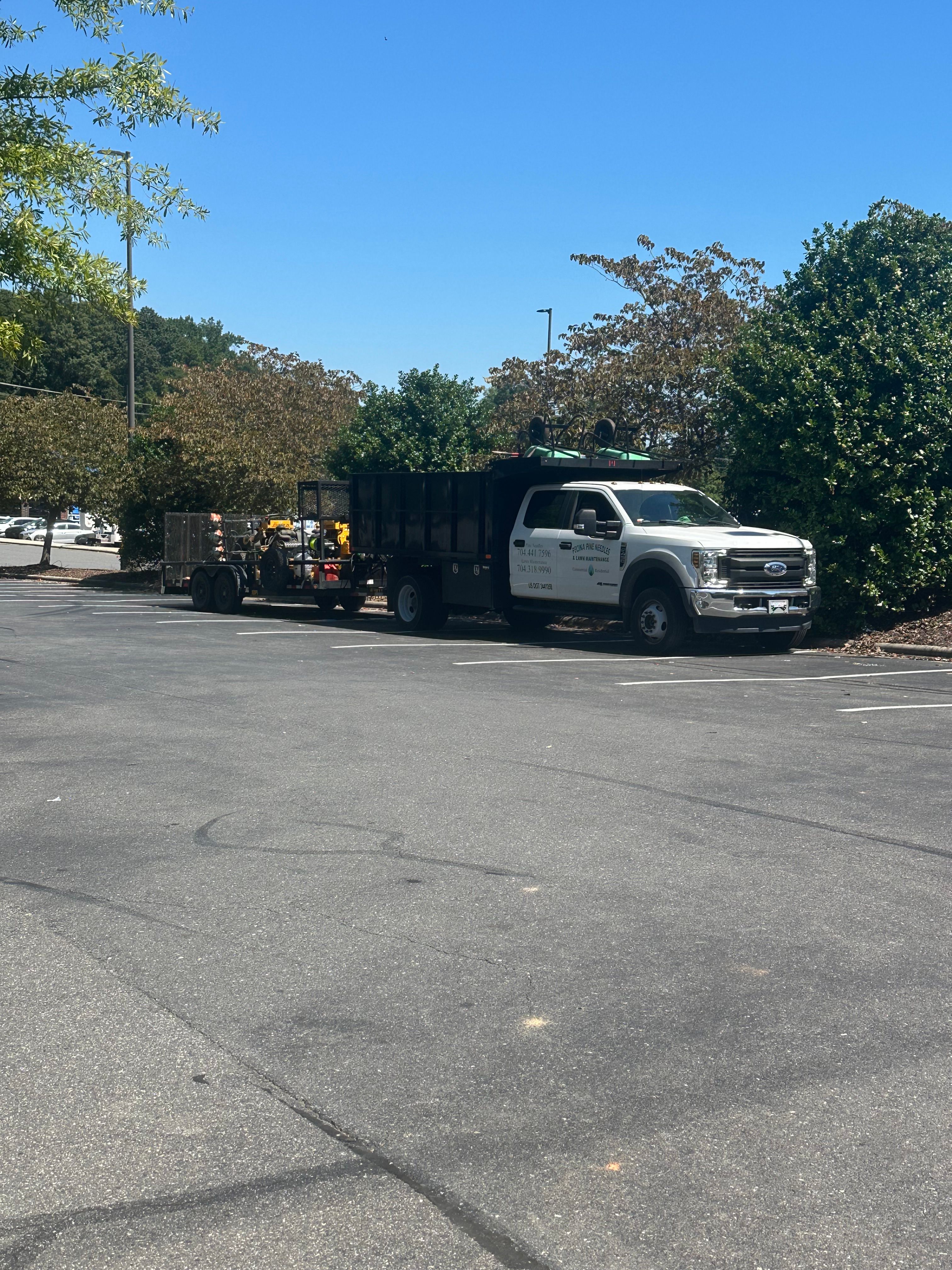  for Pecina Pine Needles in Monroe, NC