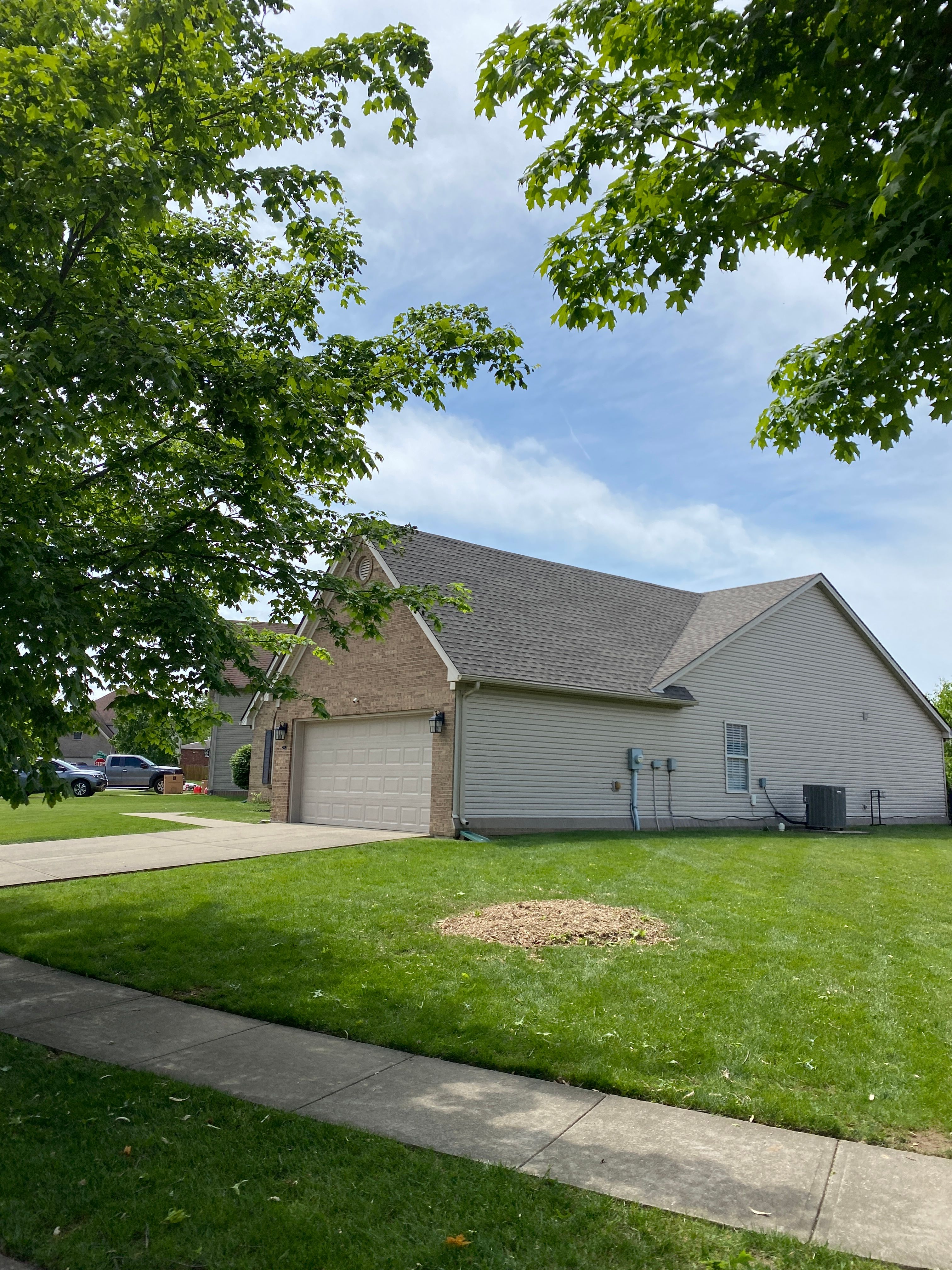 All Photos for Houtz Tree Service in Lexington, KY