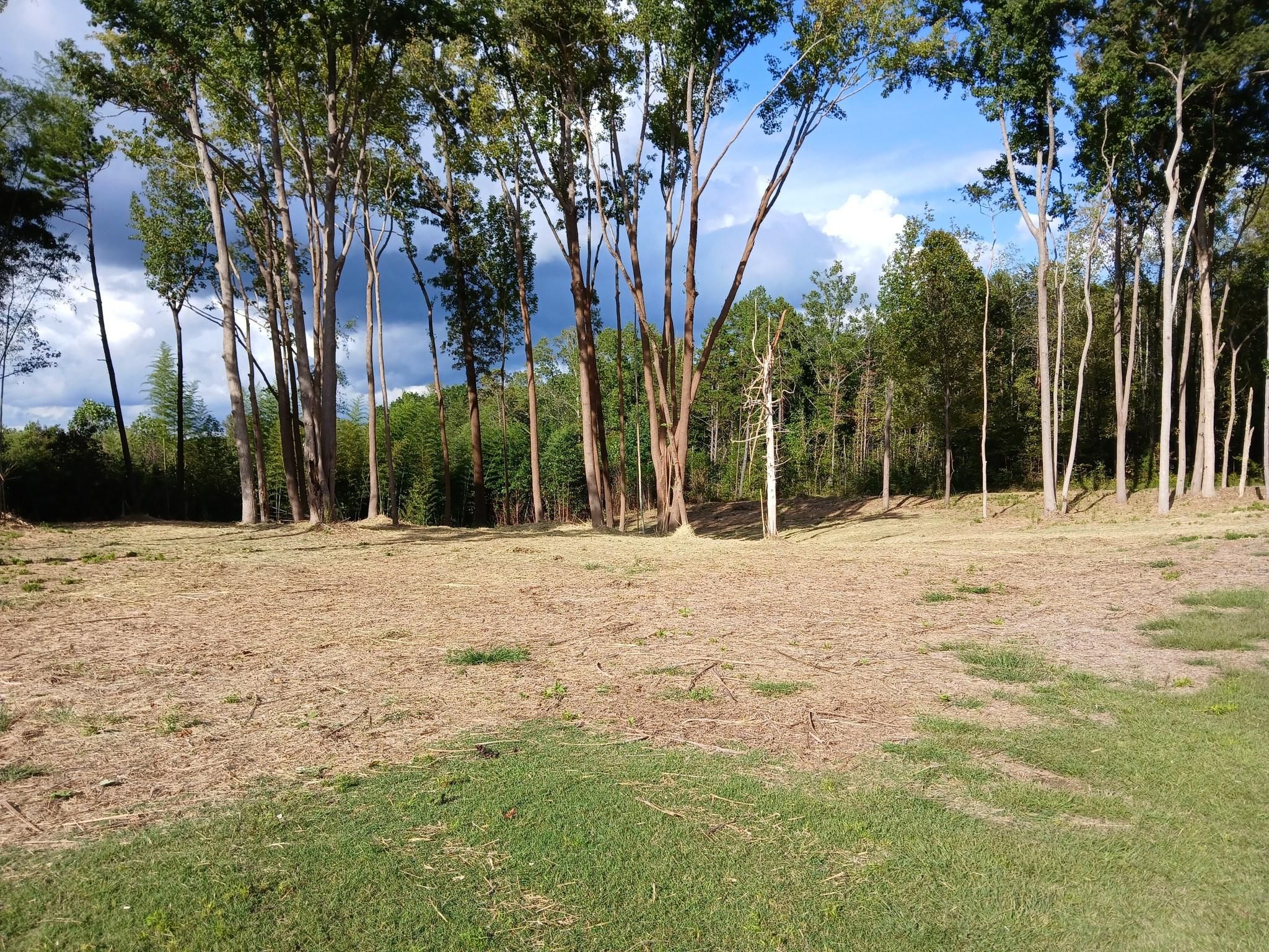  for Whiskey Ridge Mulching & Land Services in South Boston, VA