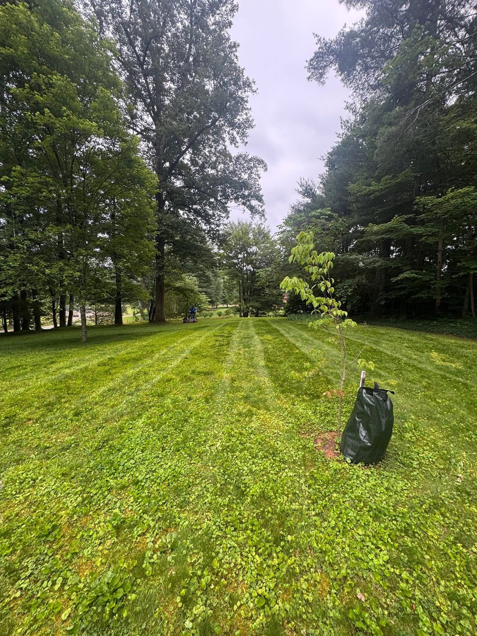  for Zotelo’s Lawncare LLC in Winston-Salem, NC