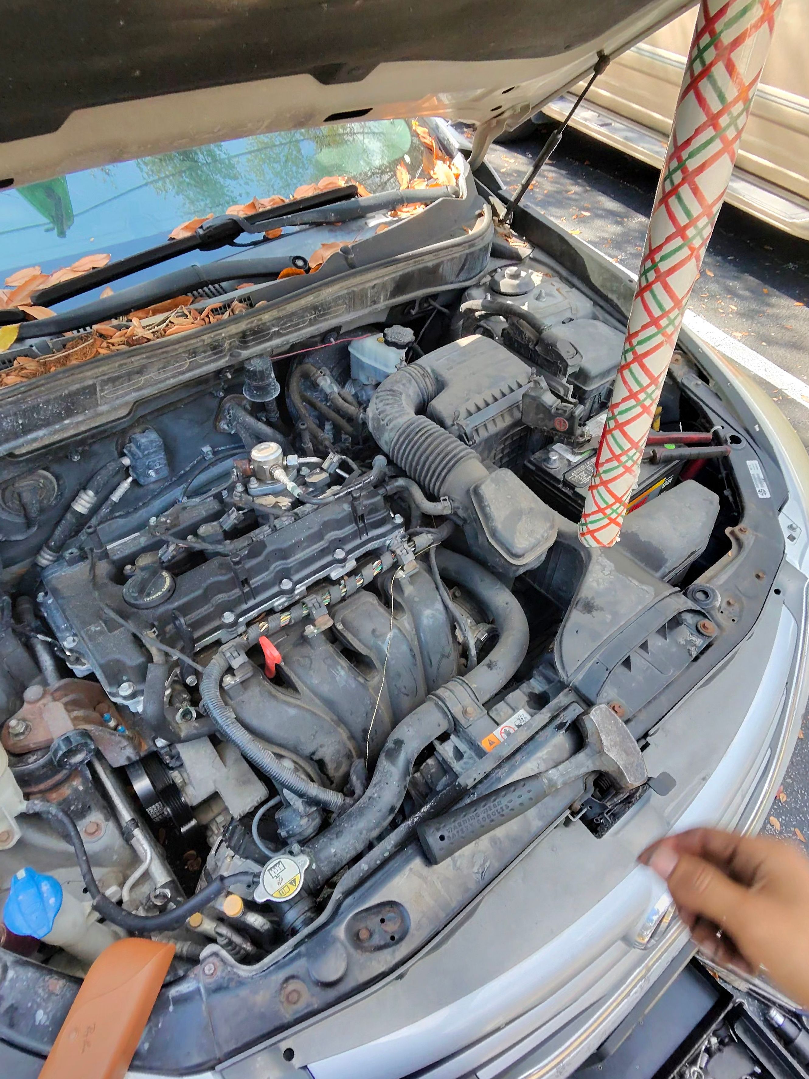  for Capula's Mobile Mechanic in Lakeland, FL