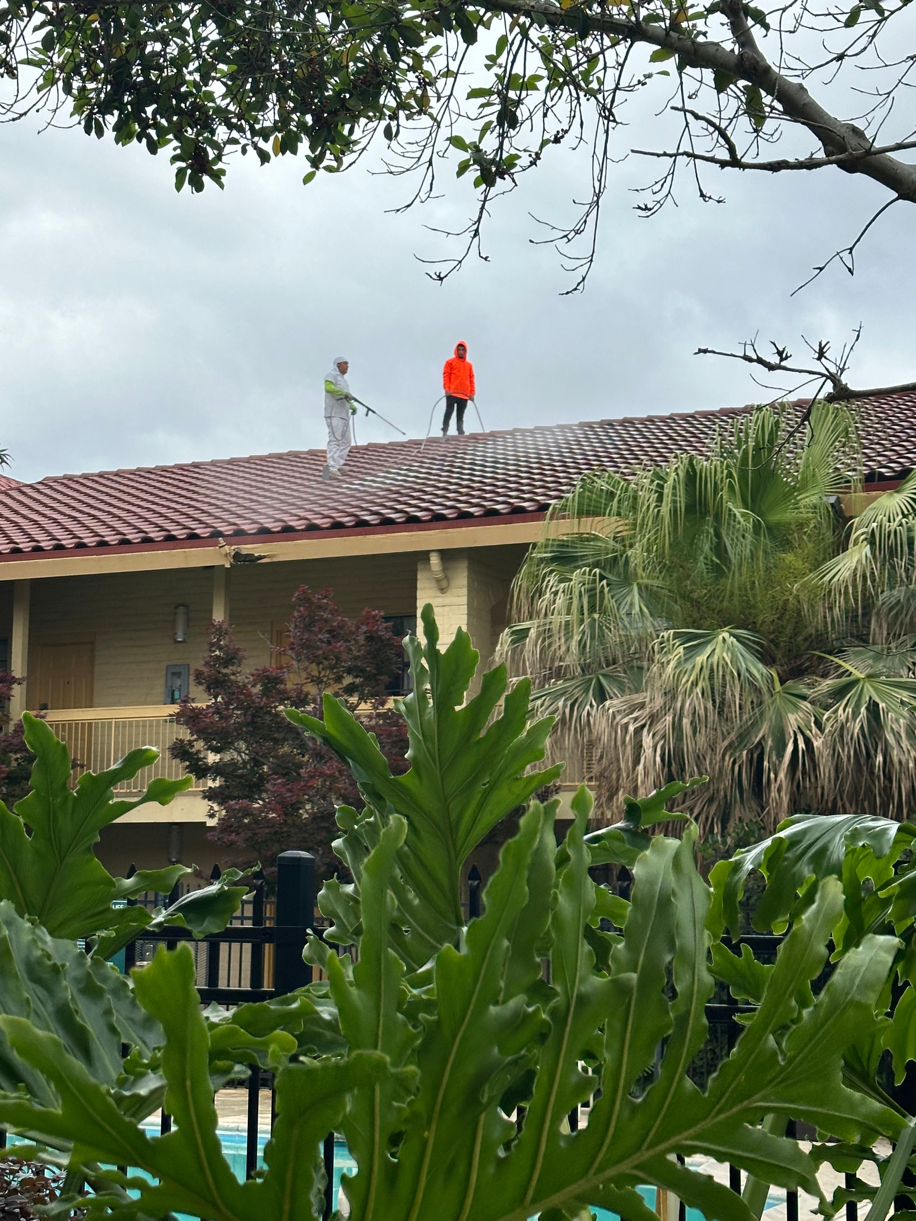  for GEOS Painting in New Braunfels, TX