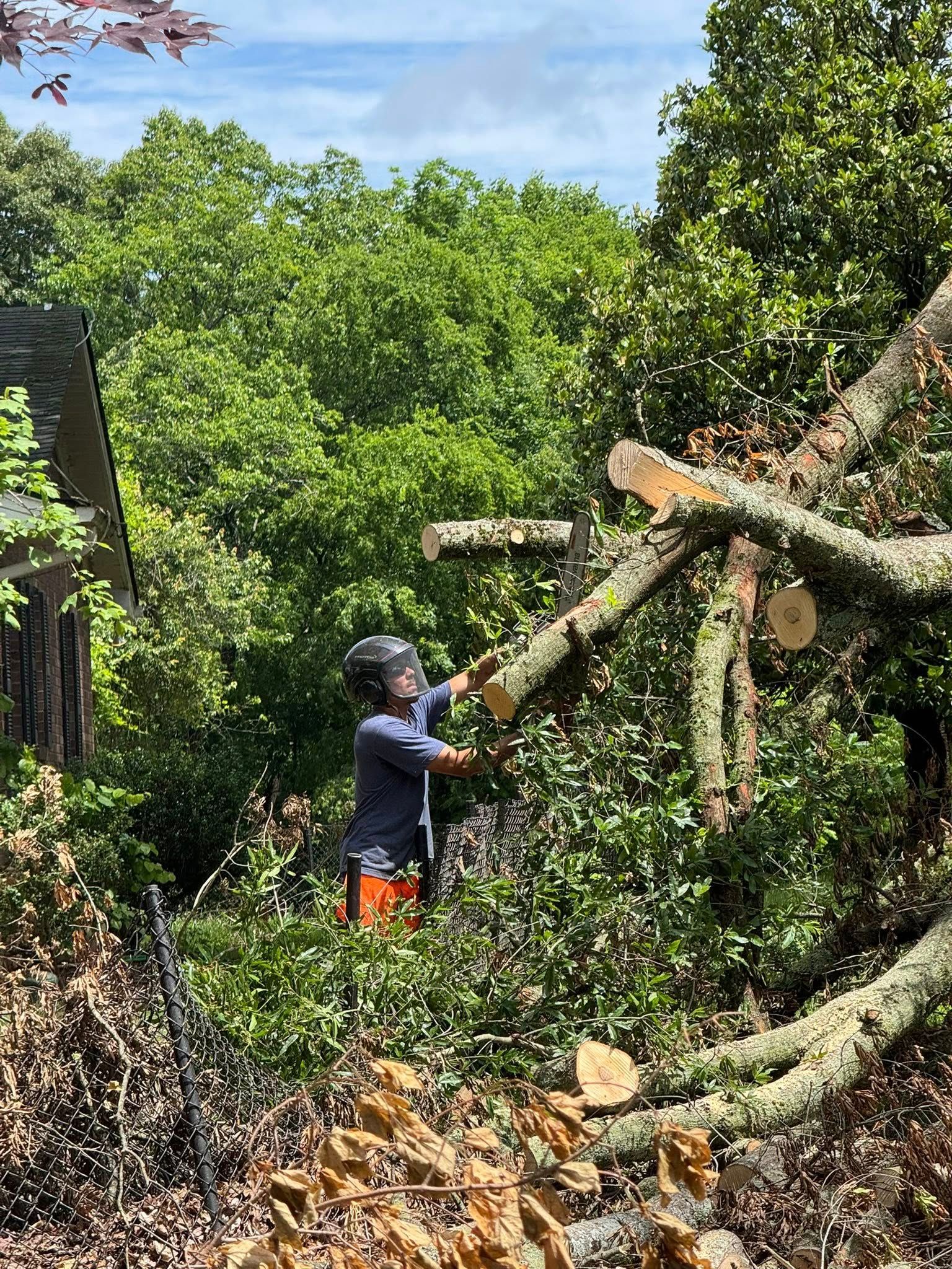  for Ramirez Tree Care in Elkin, NC