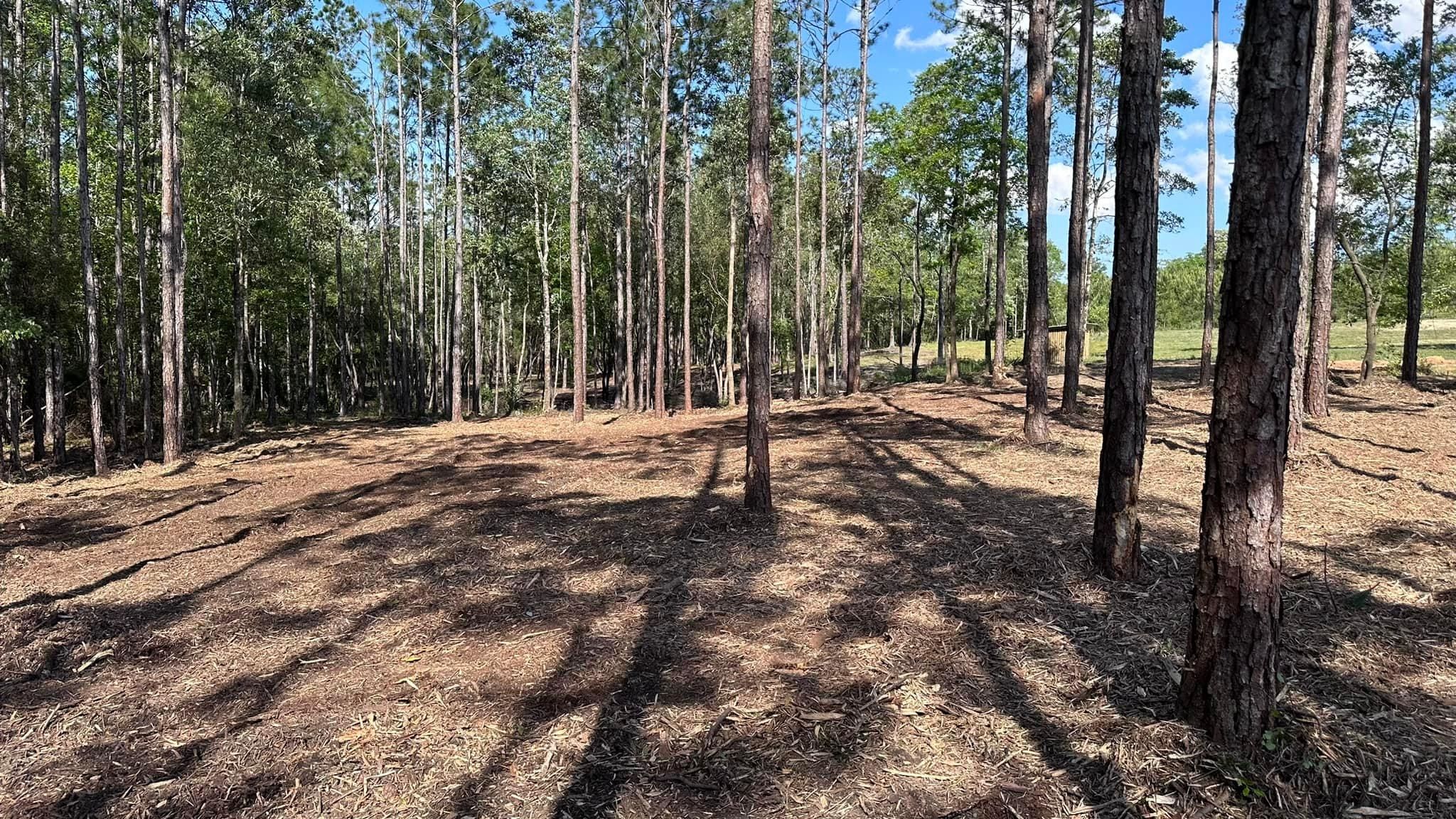 All Photos for White’s Land Maintenance in Milton,, FL