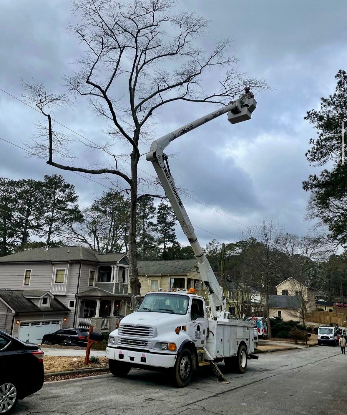  for Clear Tree Land Solutions in Dawson County, GA