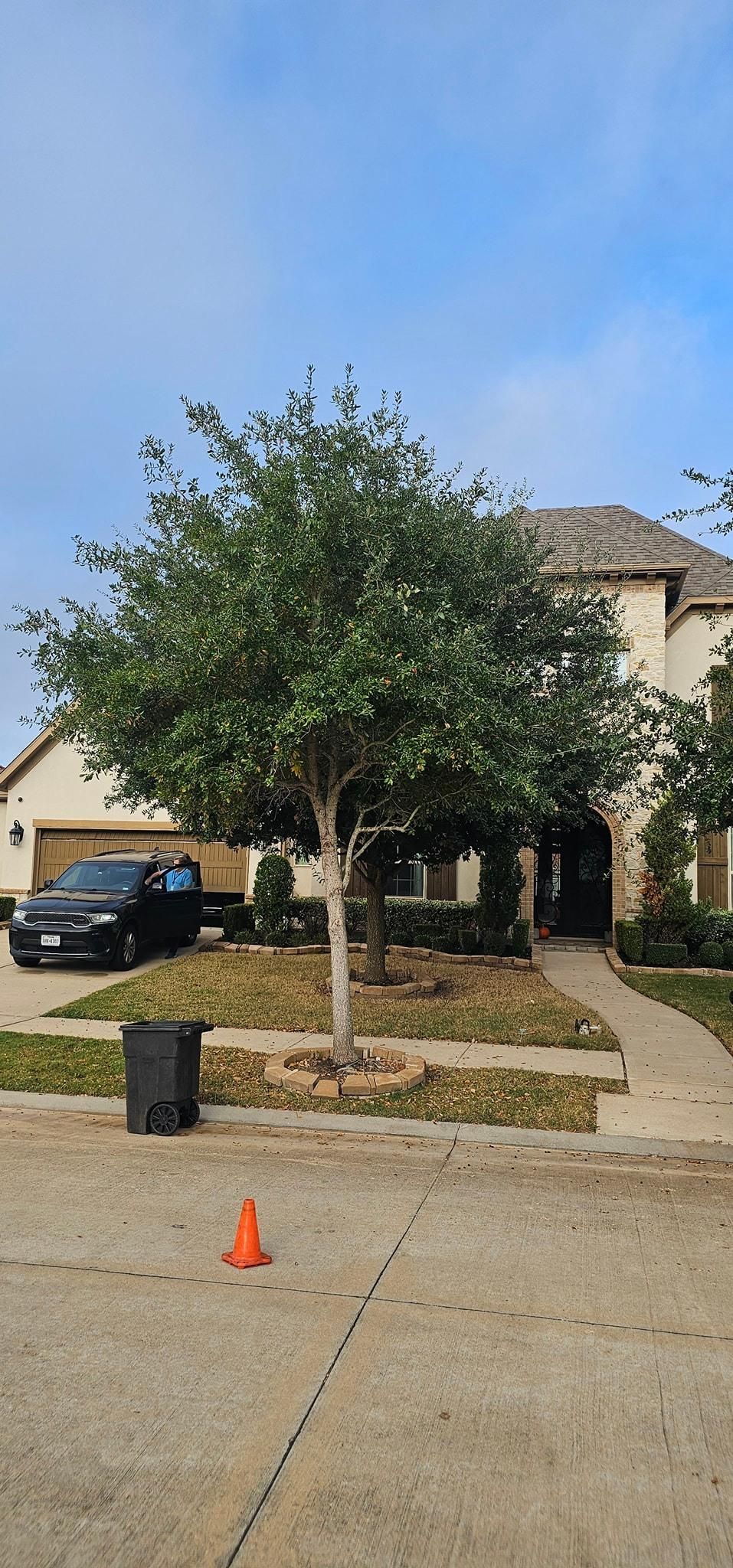  for Servin's Tree Care  in Houston, TX
