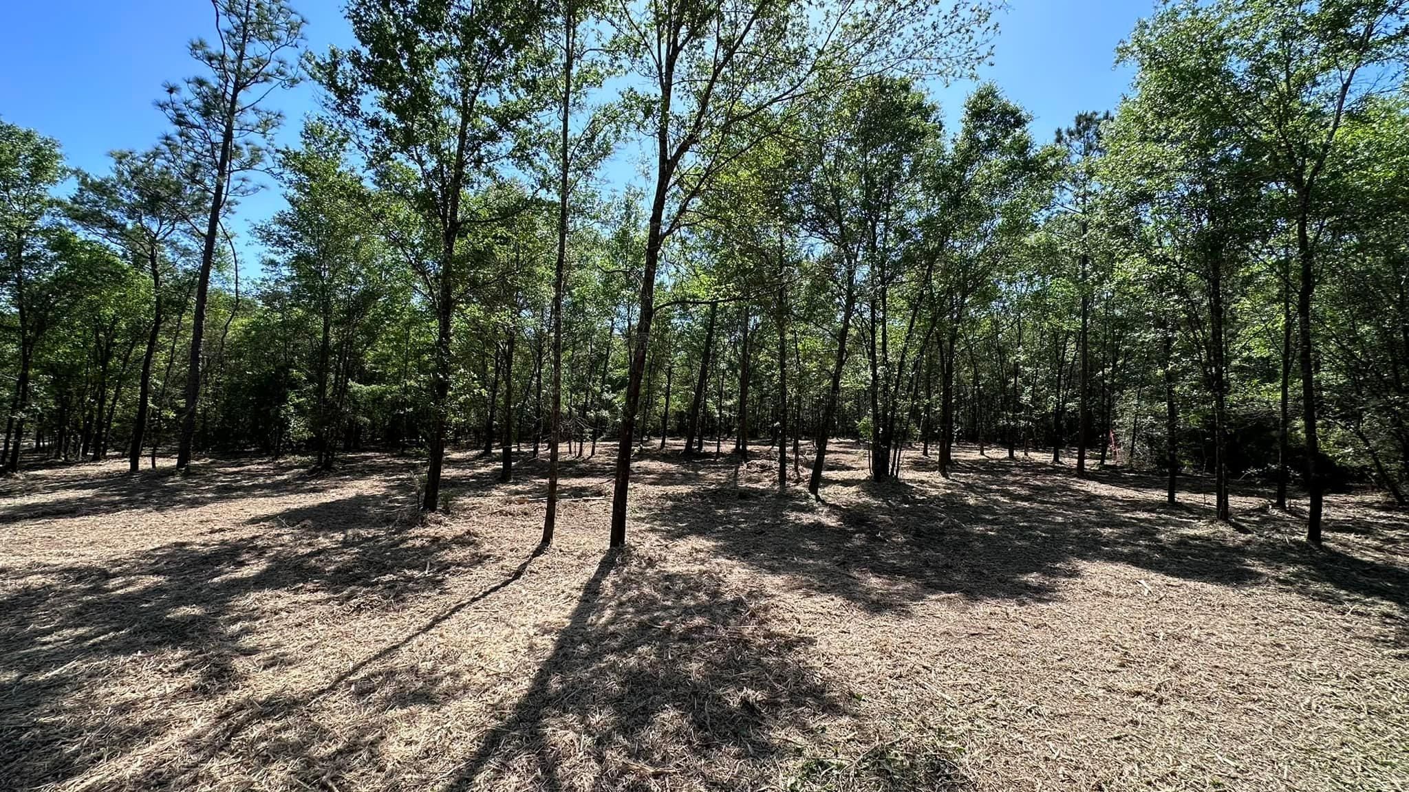 All Photos for White’s Land Maintenance in Milton,, FL