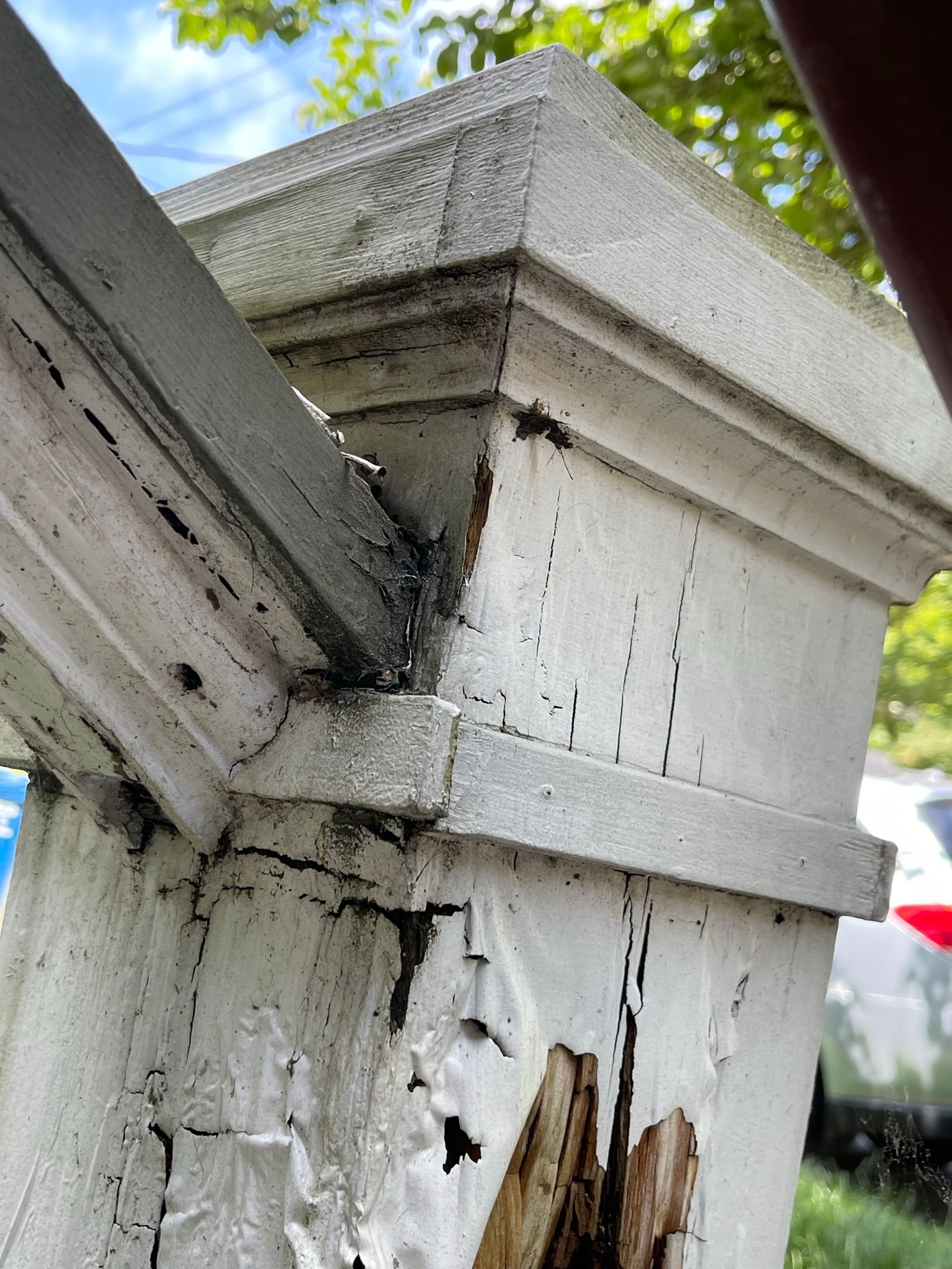  for Tony's Remodeling & Painting in Renton, WA