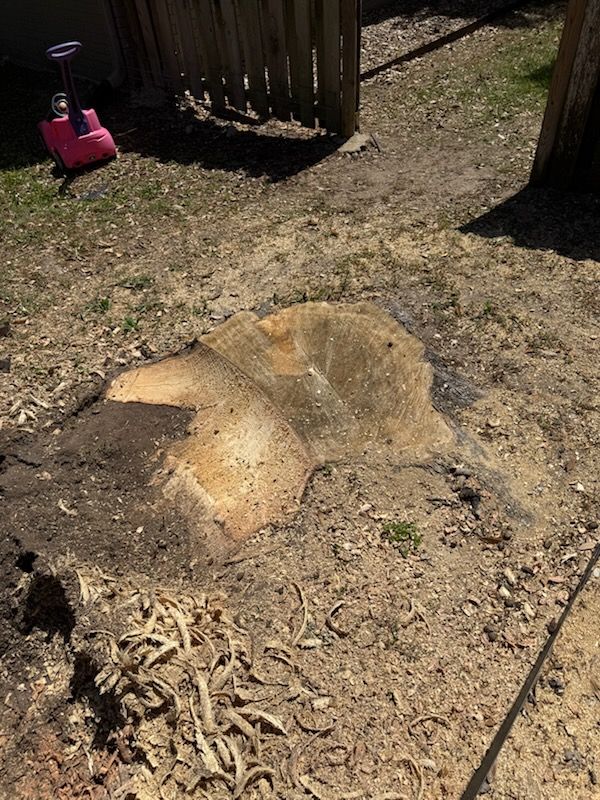  for Tomas Stump Grinding in Giddings, TX