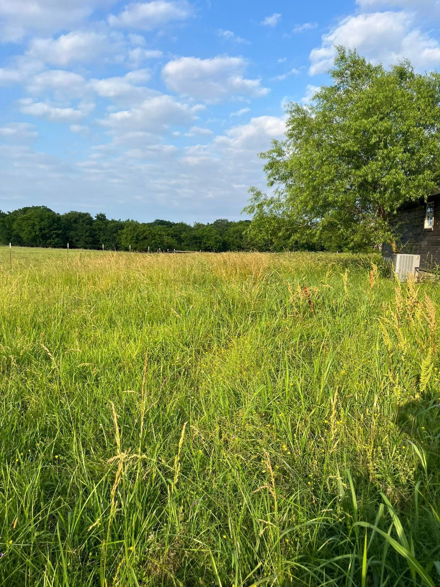  for Zac’s Lawn and Landscaping in Fort Smith, AR