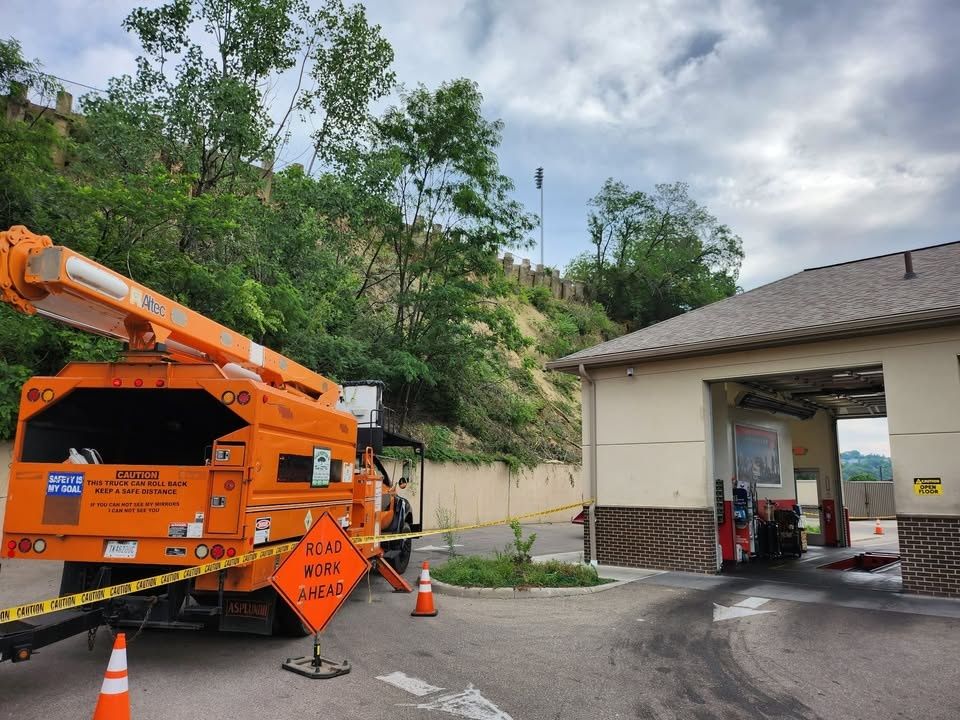  for Carpenter's Tree Service in Aurora, IN