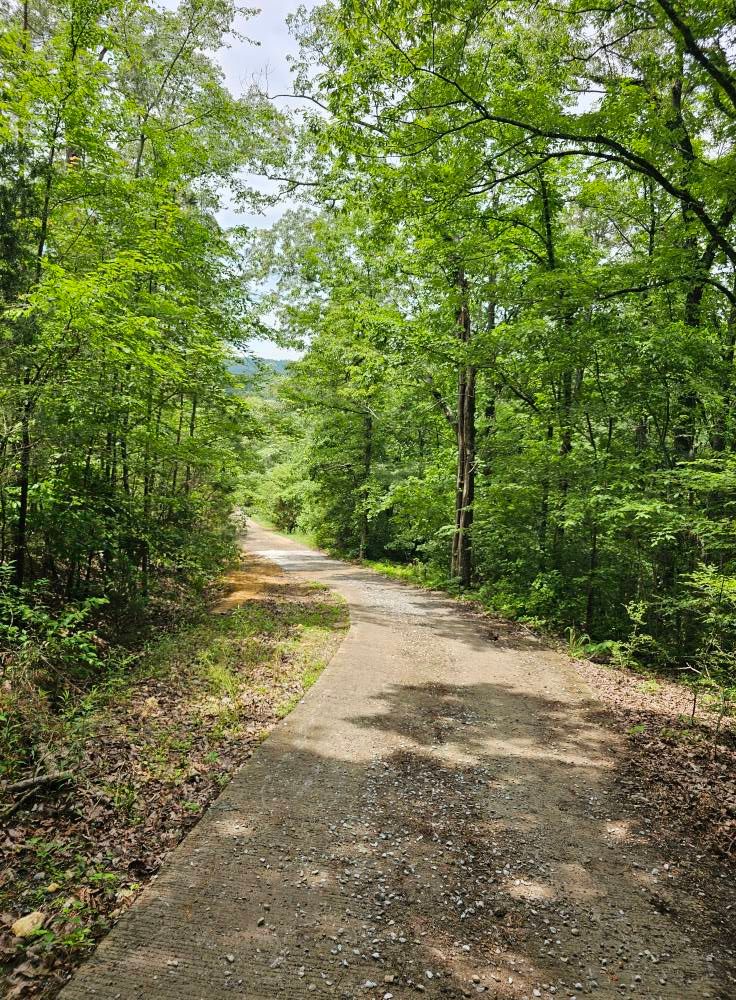 Excavating for Whaley Land Development in Athens, TN