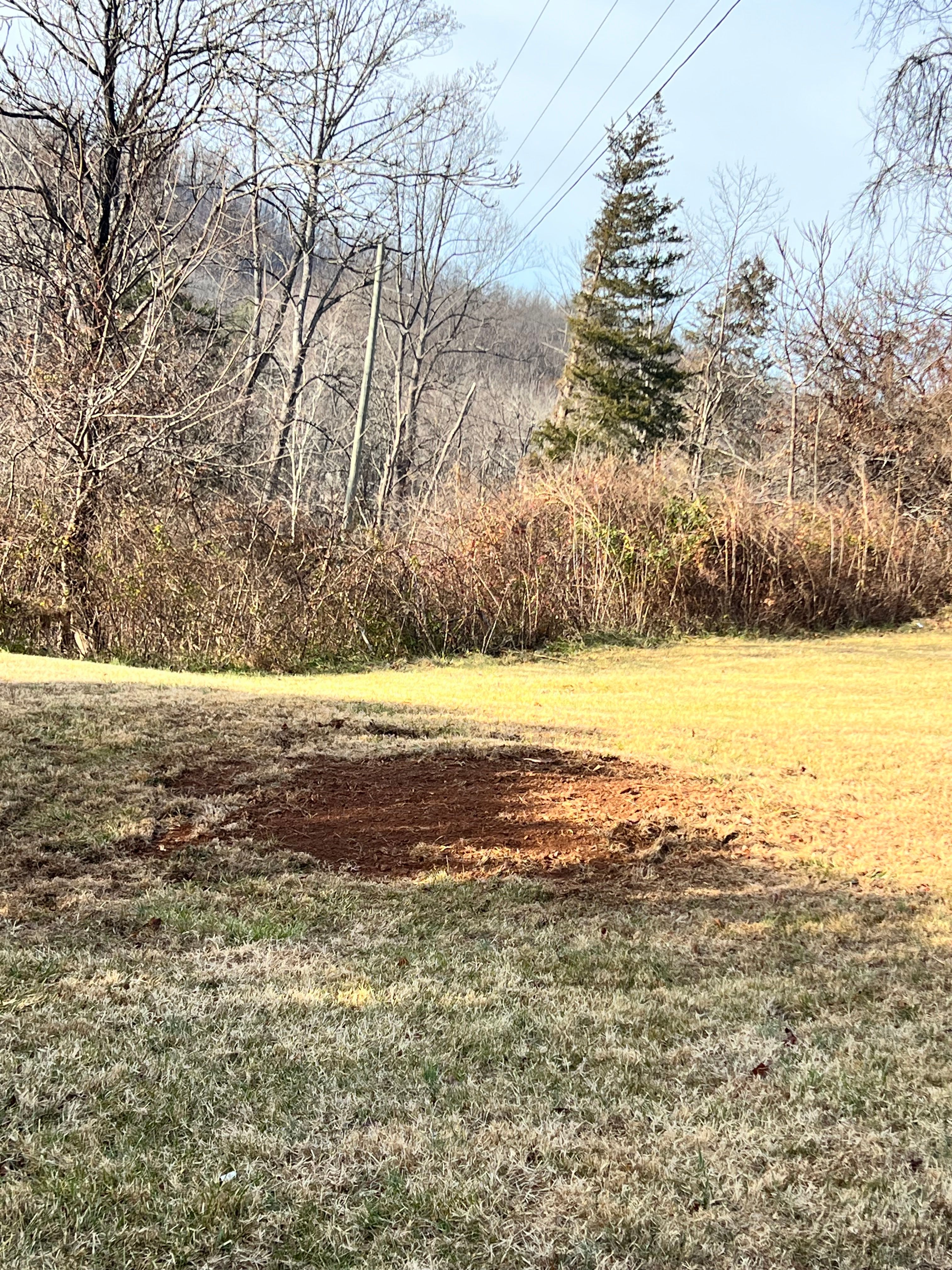  for Valencia’s Lawncare in Charlottesville, VA