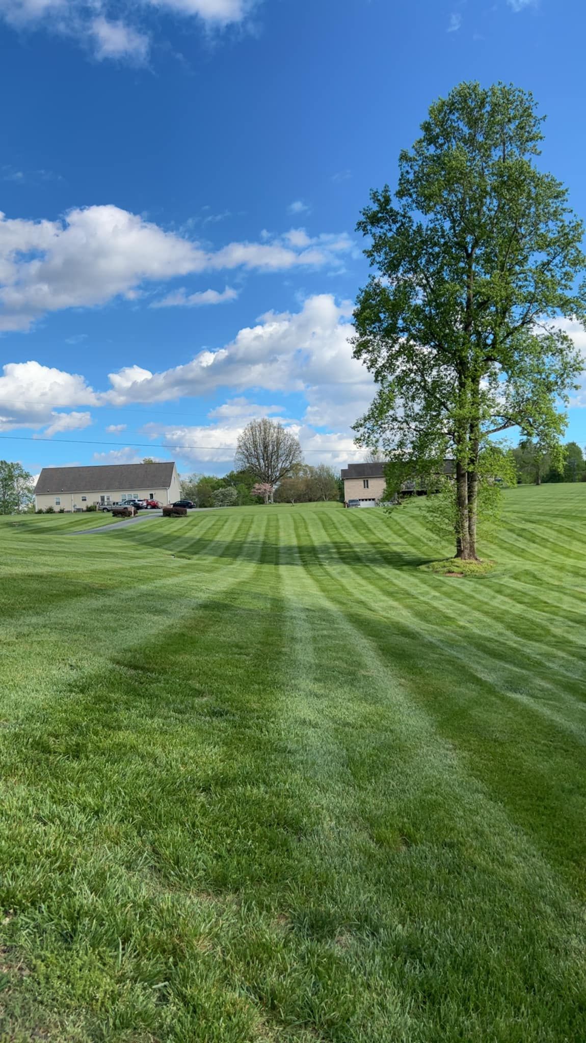  for Cook's Lawn & Landscaping in Taylorsville, NC